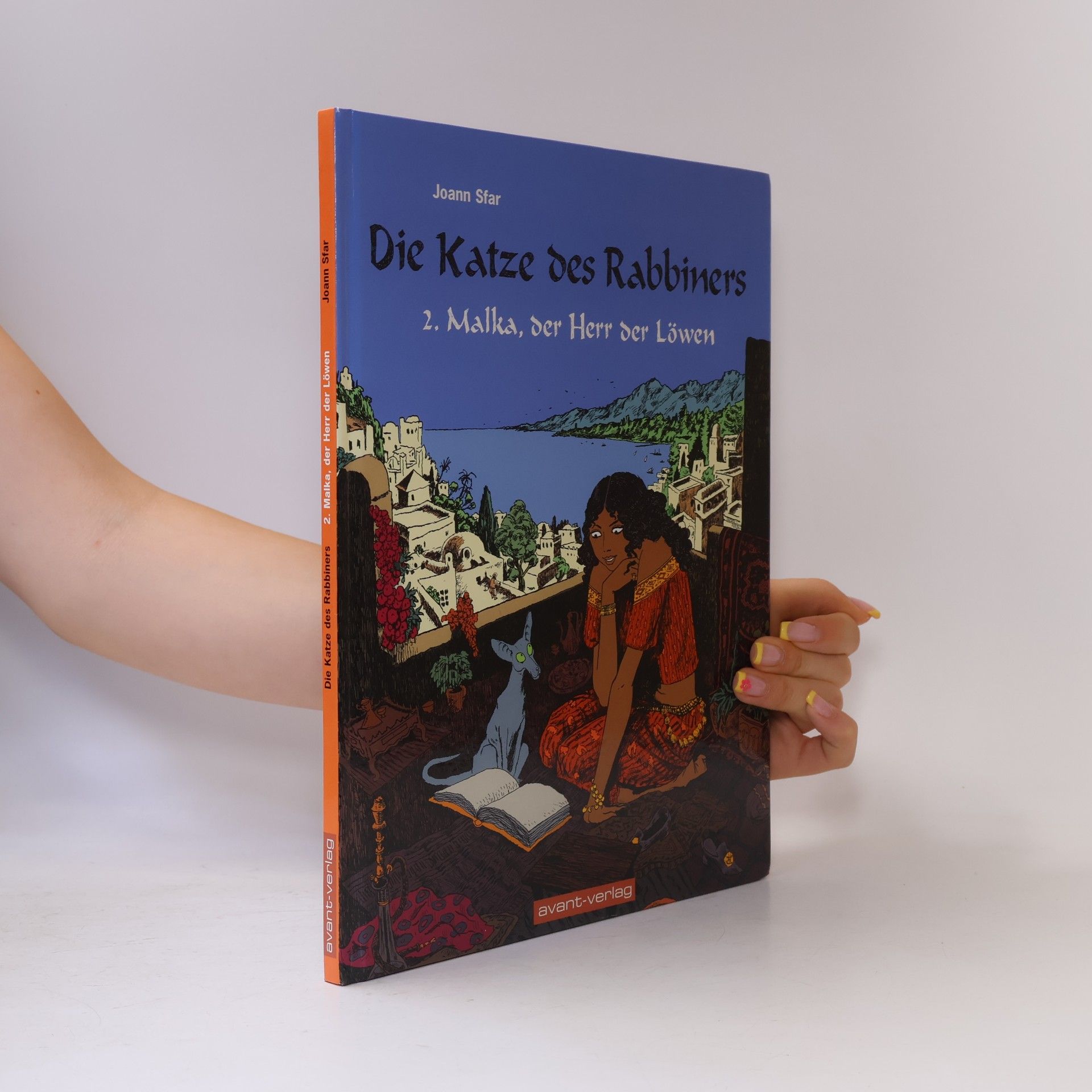 Joann Sfar Die Katze des Rabbiners