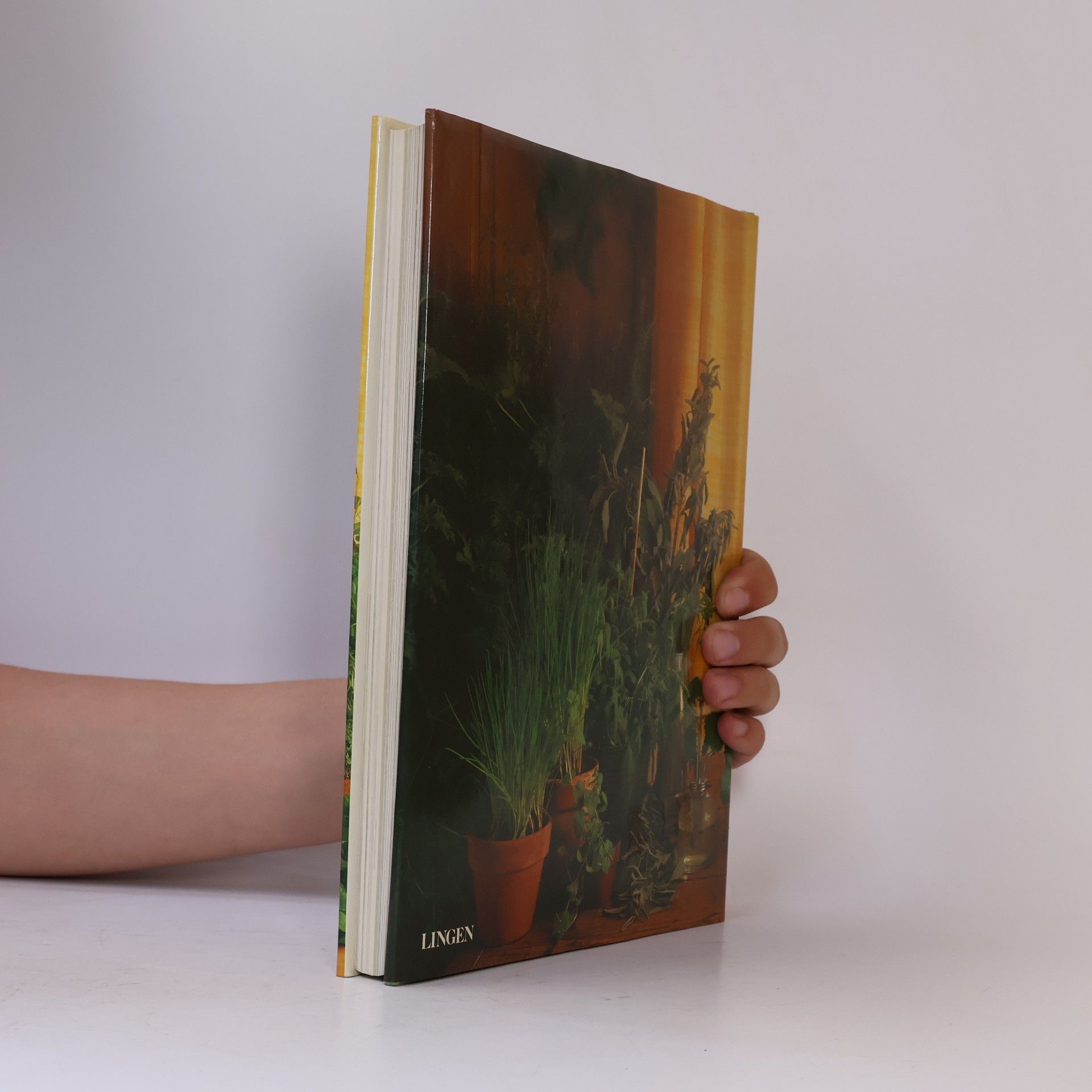 Various authors Kräuter in Garten und Küche