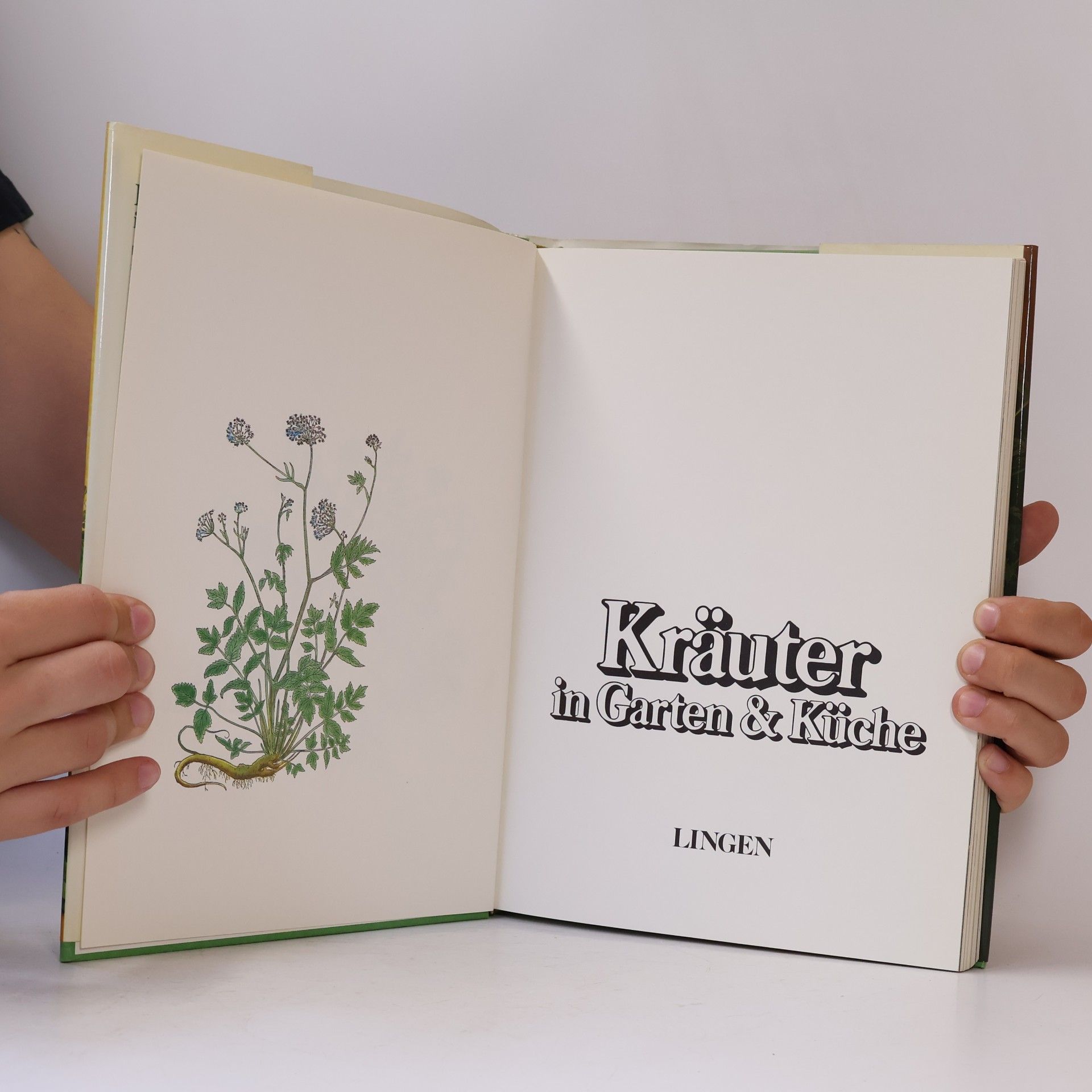Various authors Kräuter in Garten und Küche