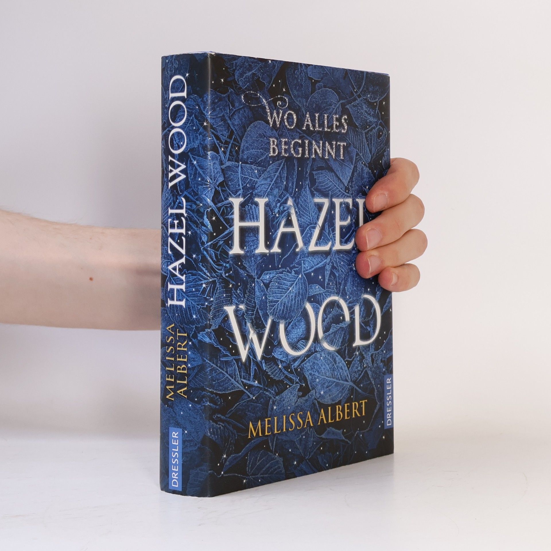 Melissa Albert Hazel Wood: Wo alles beginnt