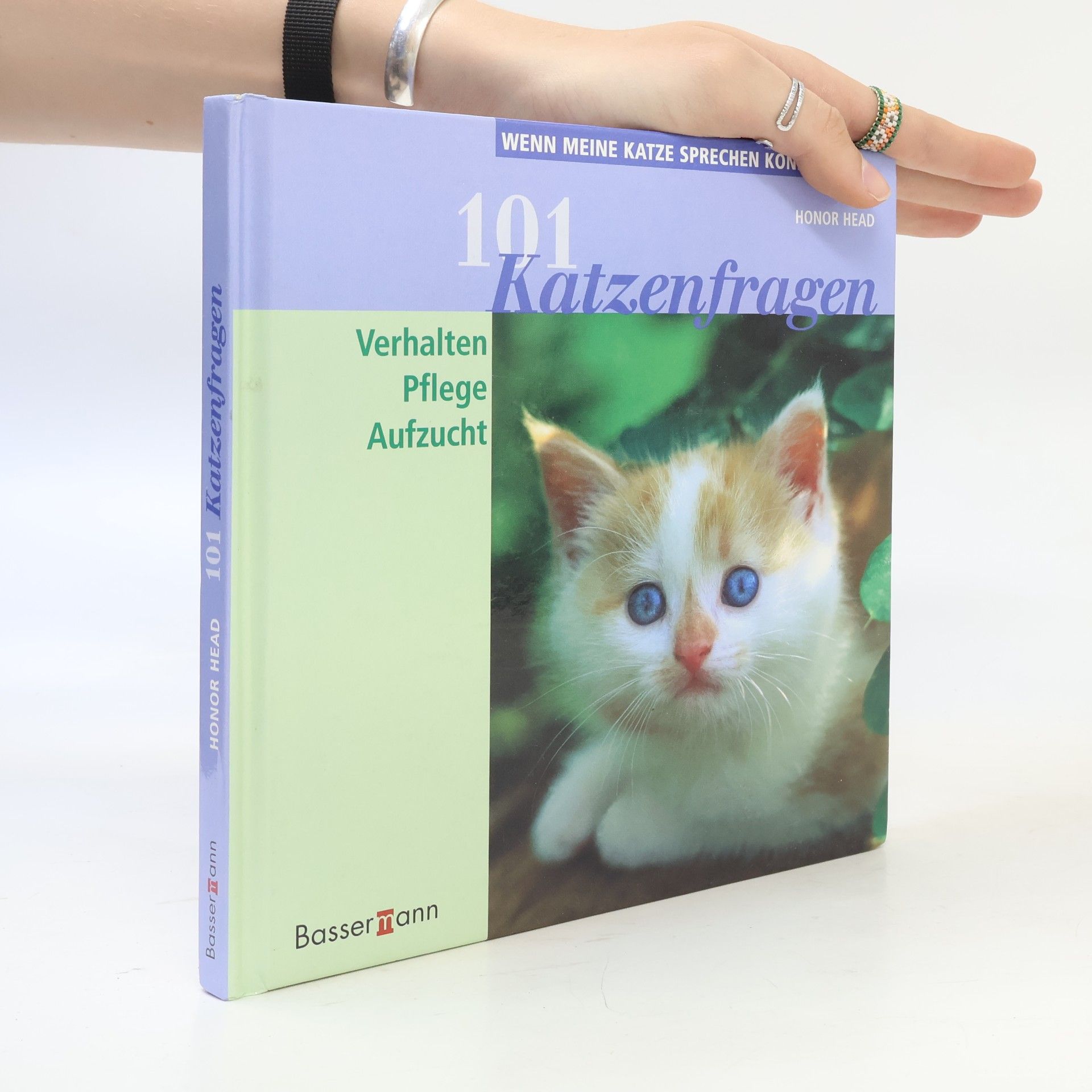 Honor Head 101 Katzenfragen