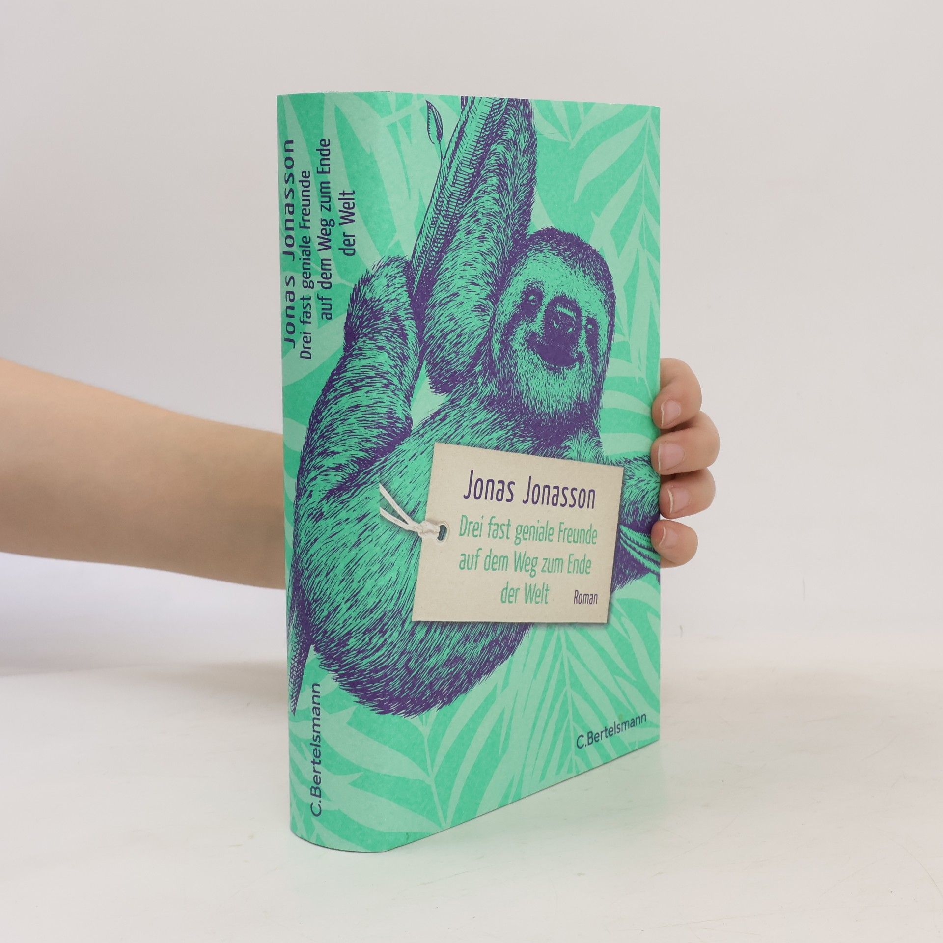Jonas Jonasson Drei fast geniale Freunde auf dem Weg zum Ende der Welt