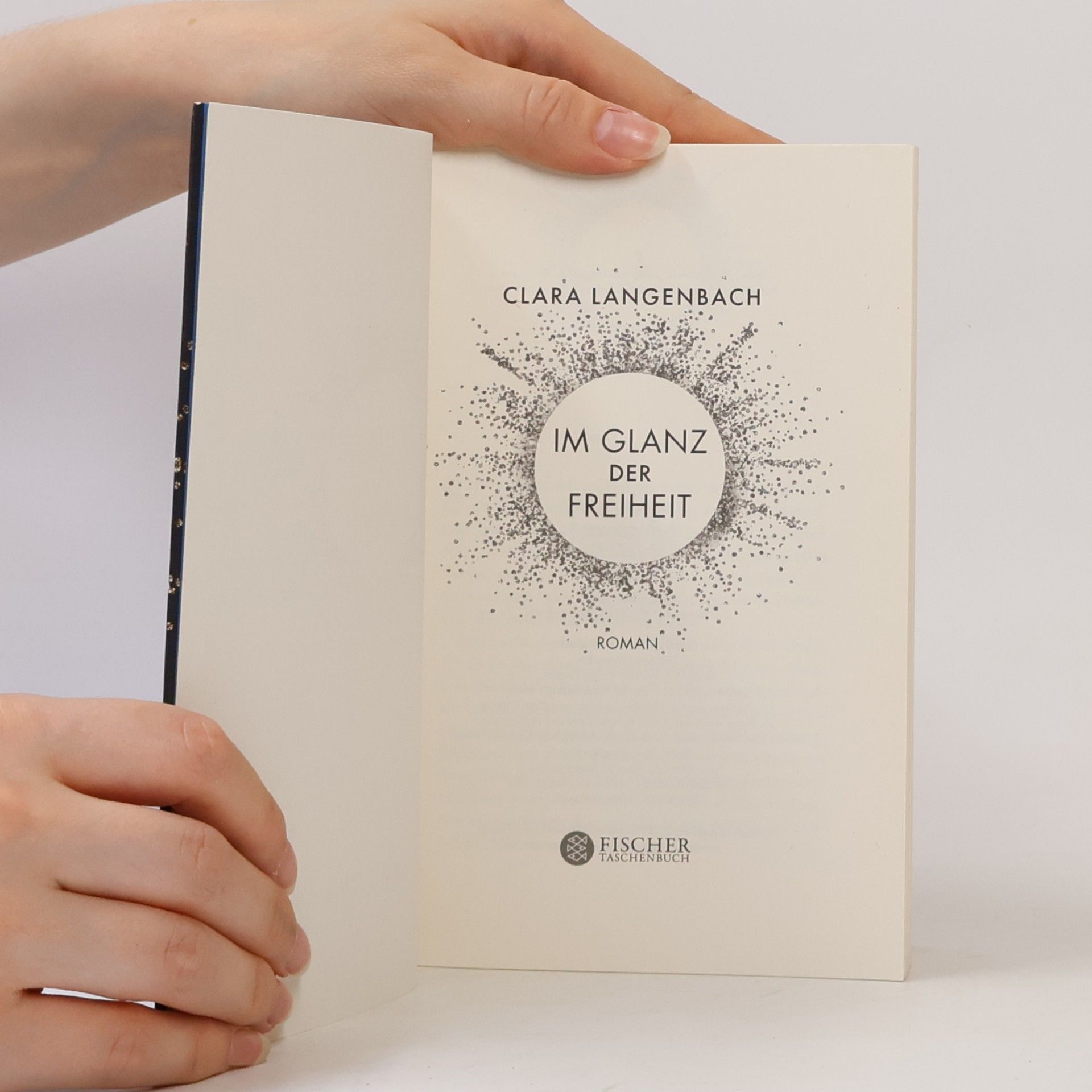 Clara Langenbach Im Glanz der Freiheit: Roman
