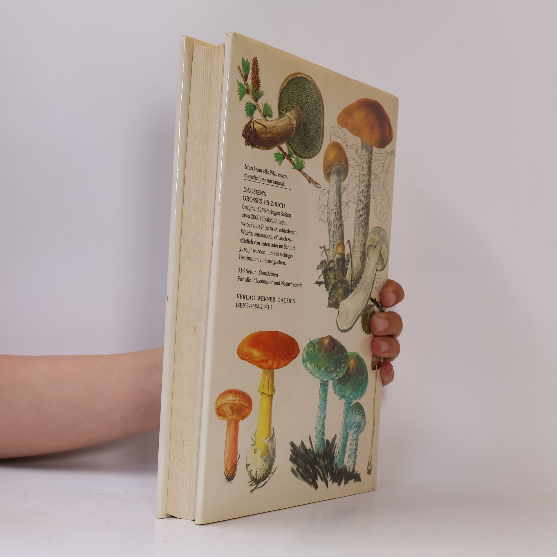 Mirko Svrček Dausien's grosses Pilzbuch in Farbe