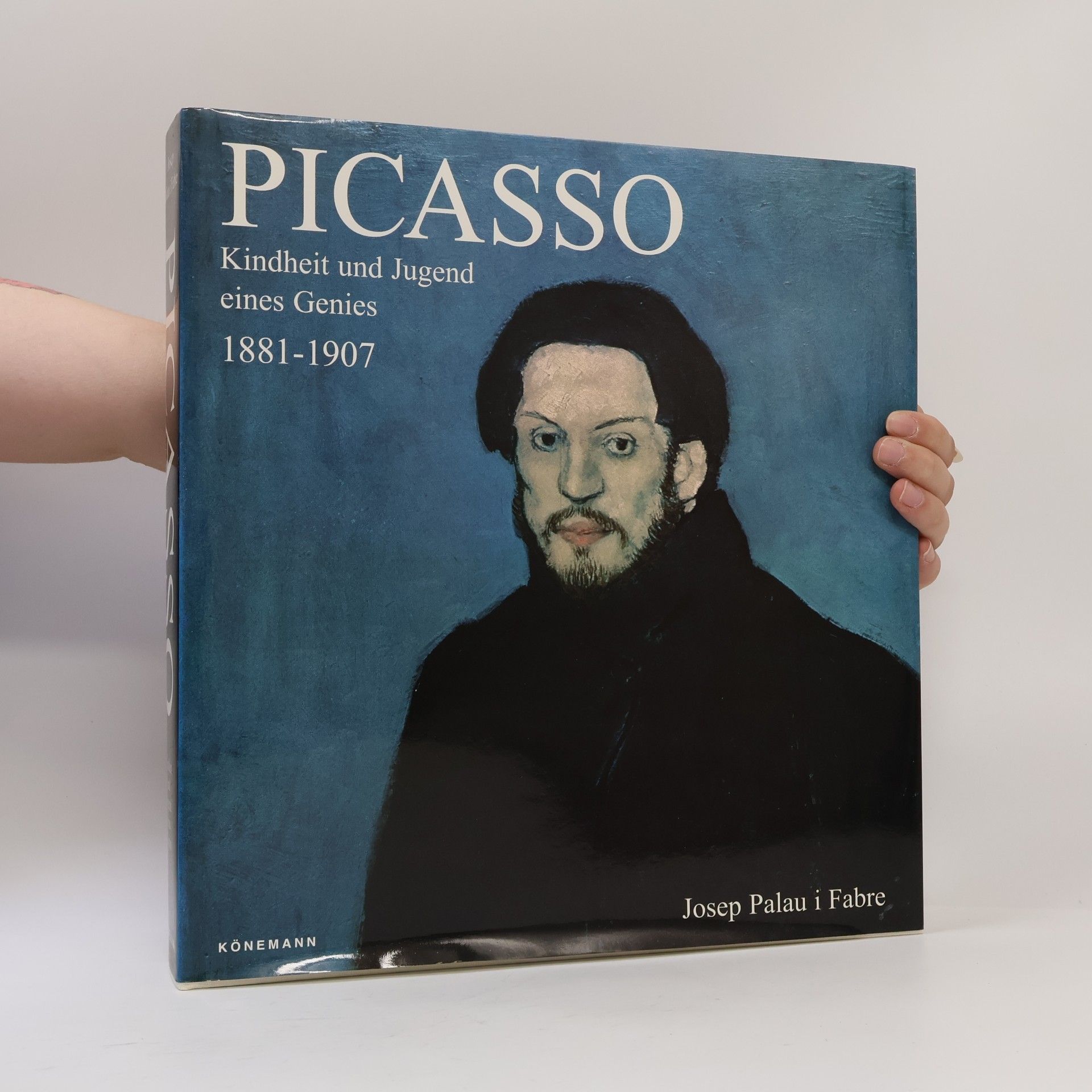 Josep Palau i Fabre Picasso