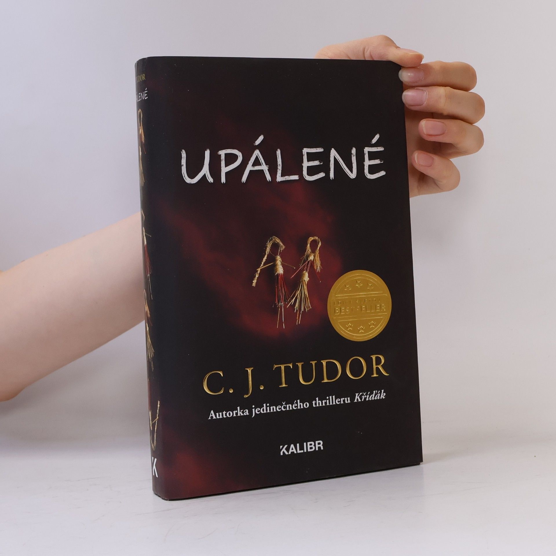 C.J. Tudor Upálené