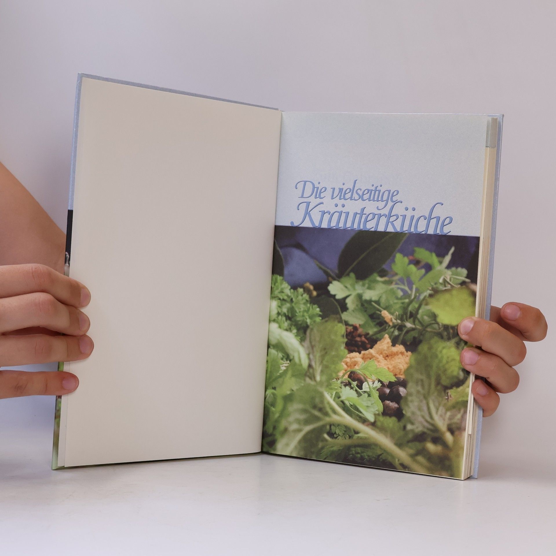 Autorenkollektiv Die vielseitige Kräuterküche