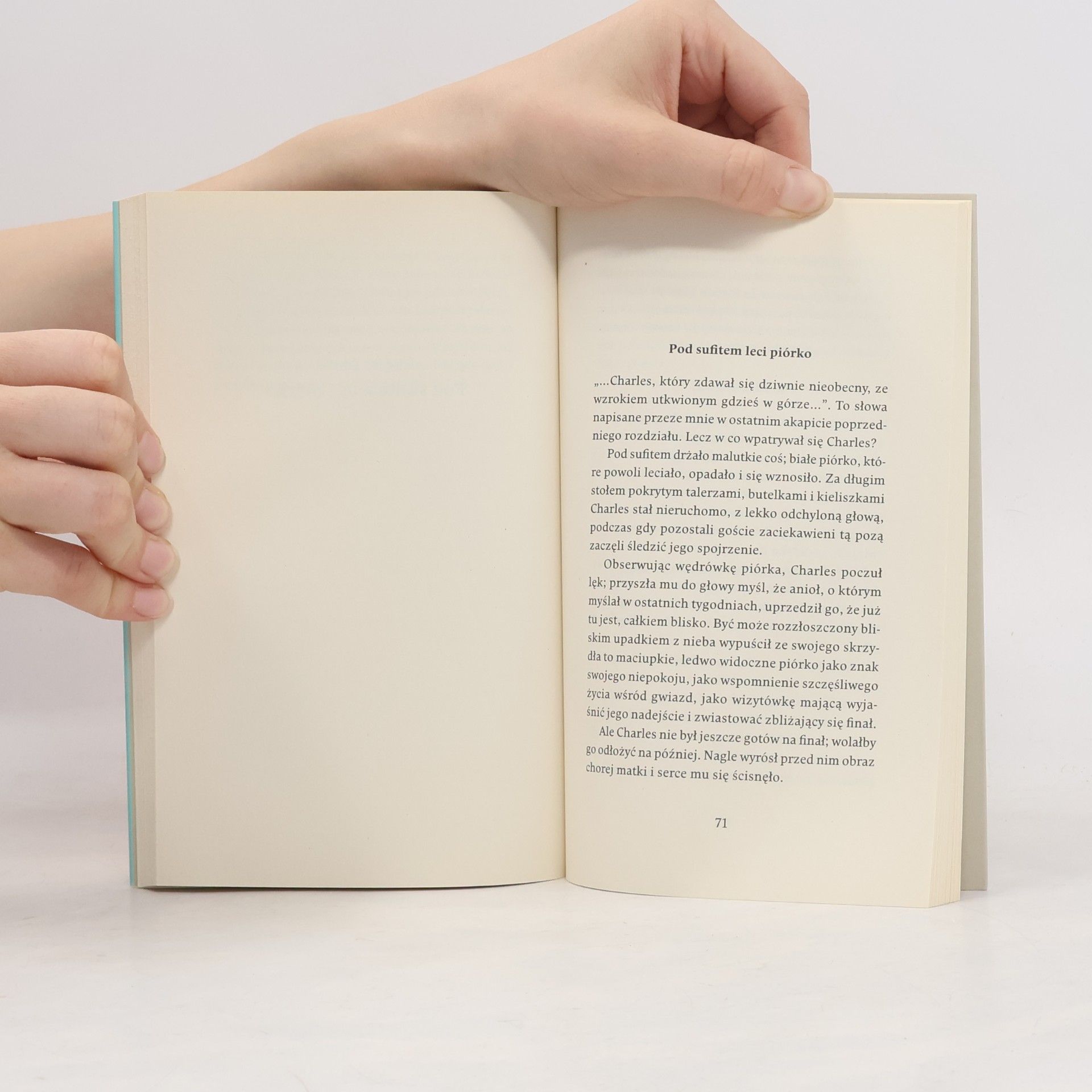 Milan Kundera Święto nieistotności