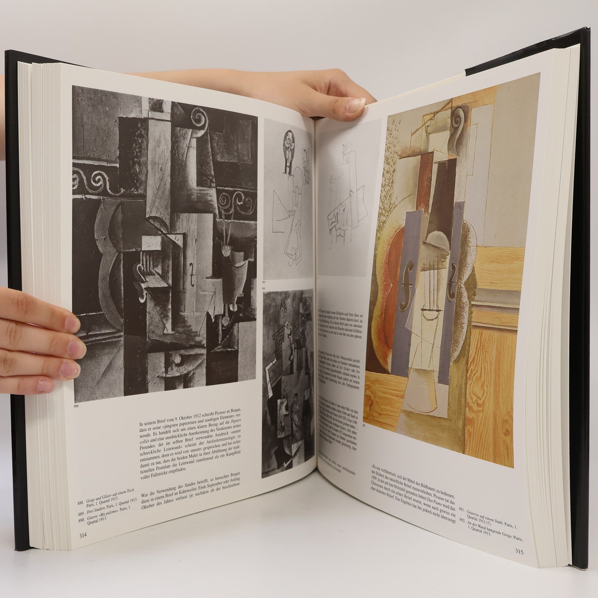 Josep Palau i Fabre Picasso - der Kubismus