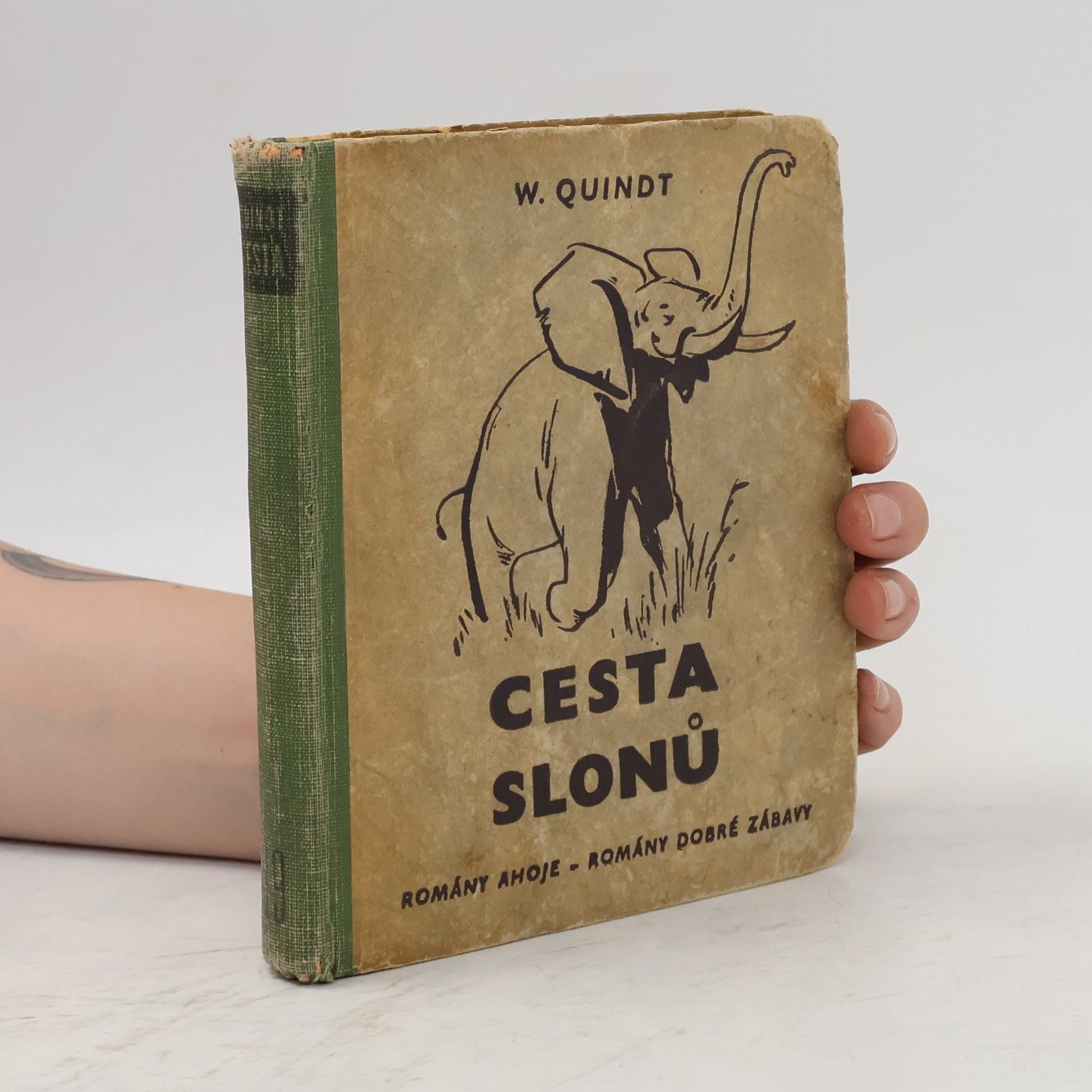 William Quindt Cesta slonů