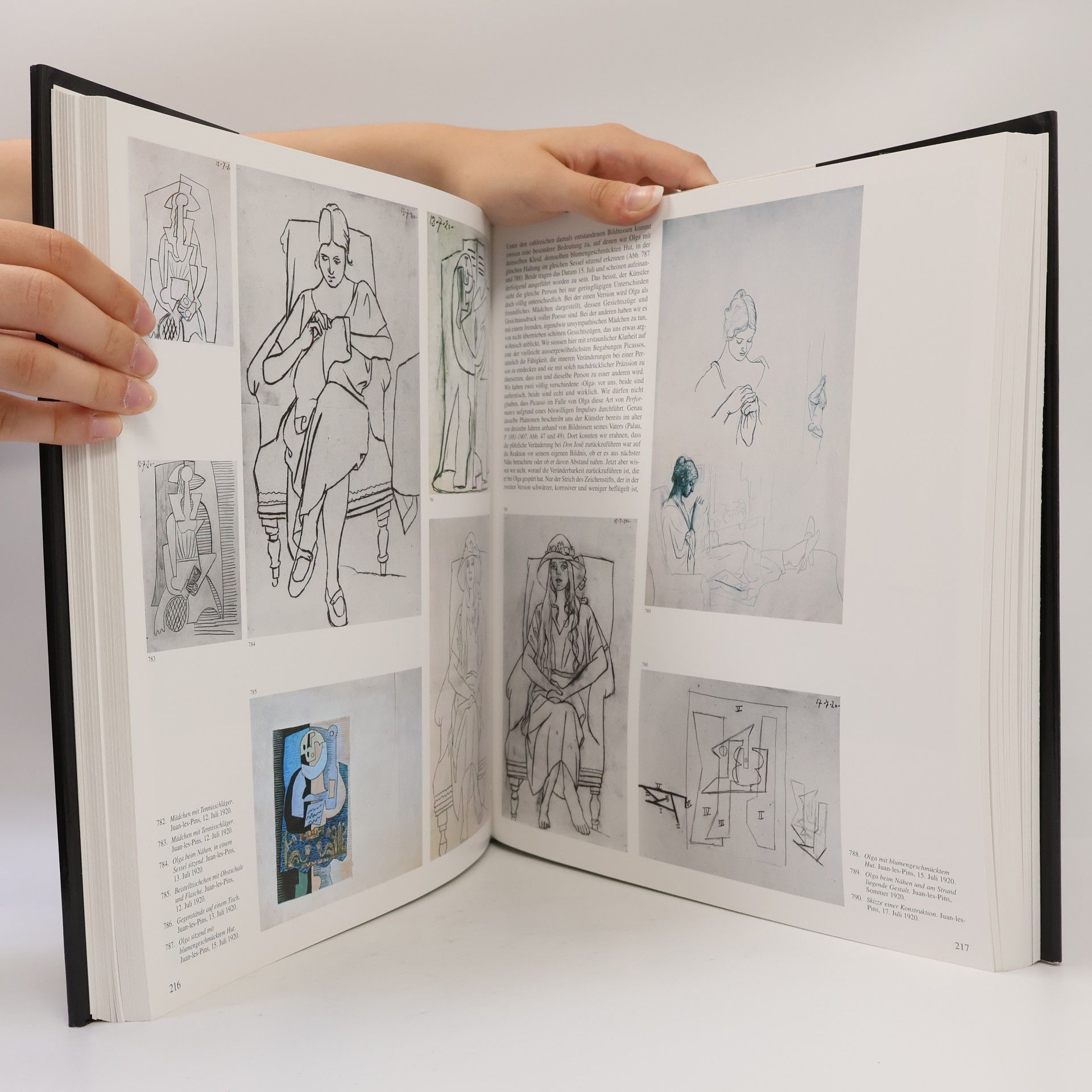 Josep Palau i Fabre Picasso