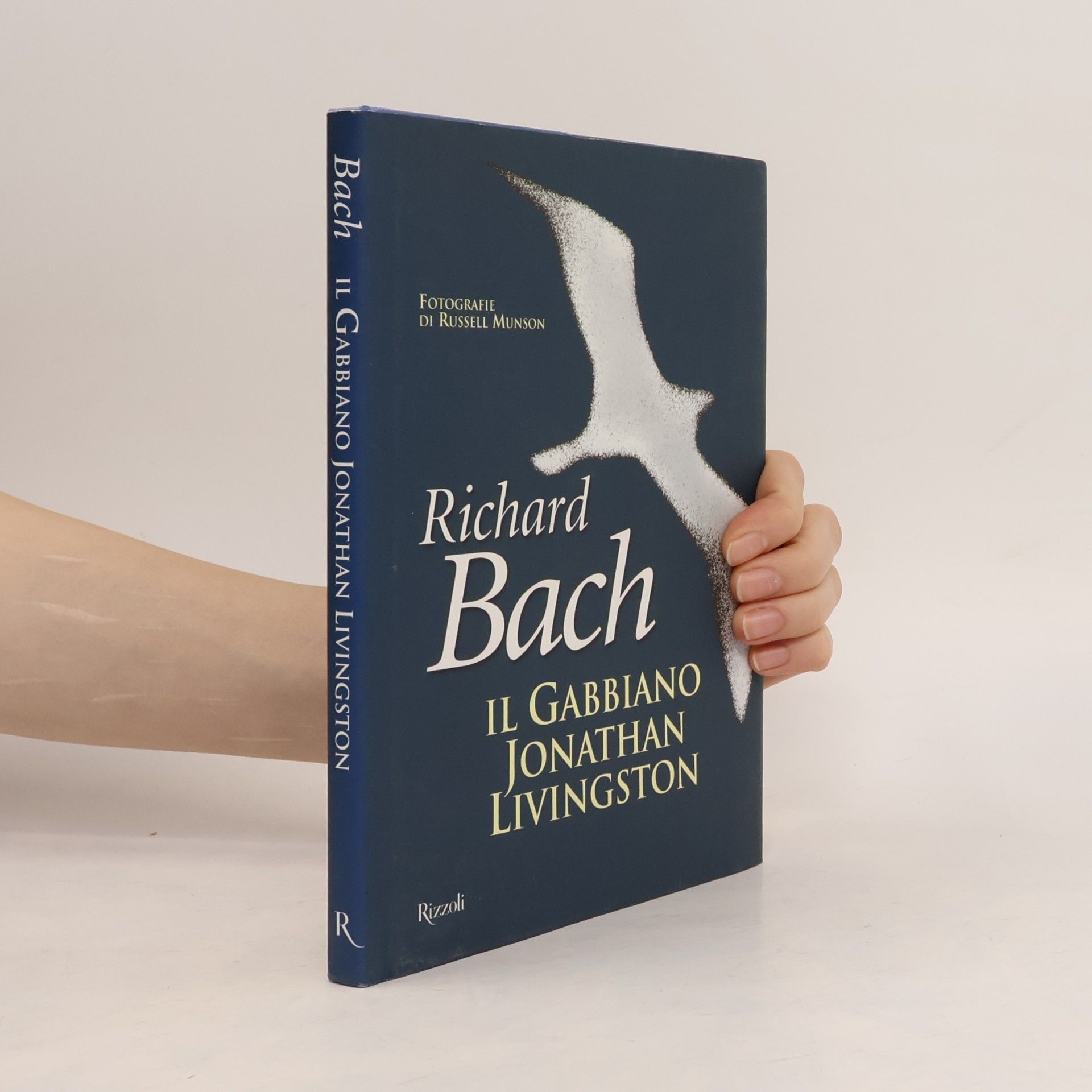 Pier Francesco Paolini Il gabbiano Jonathan Livingston