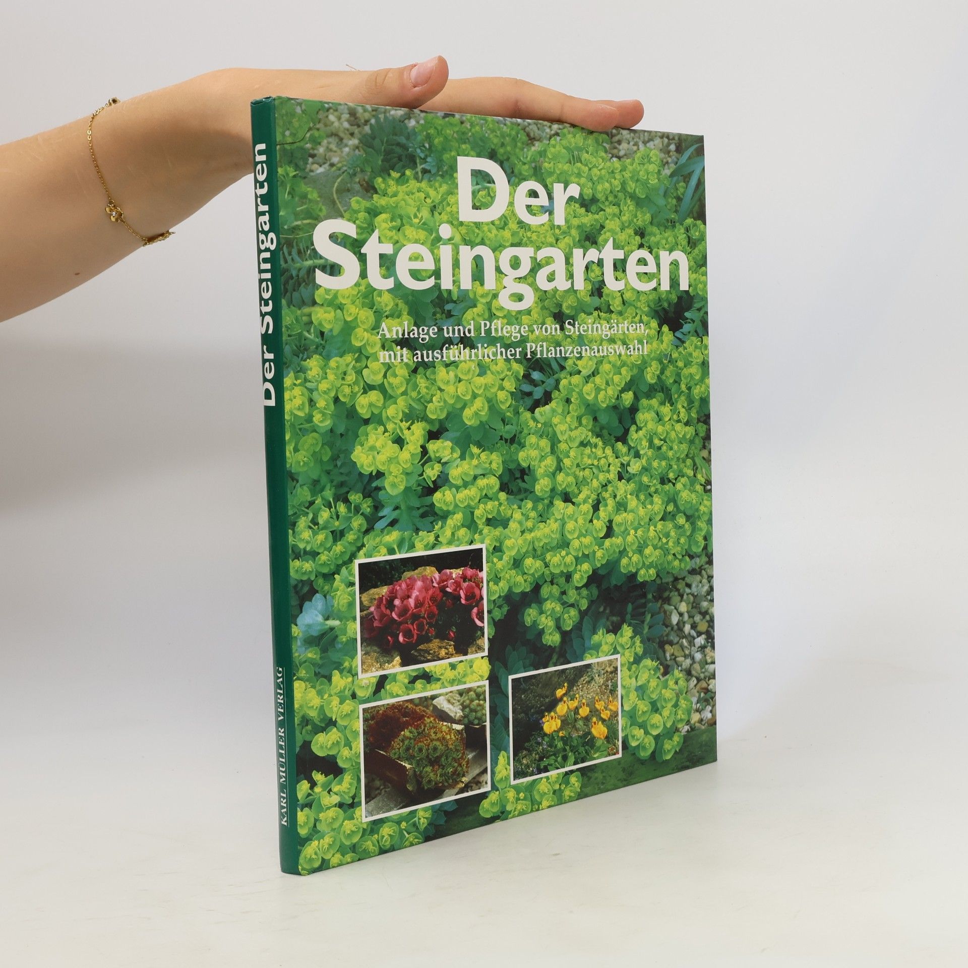 Kolektiv autorů Der Steingarten