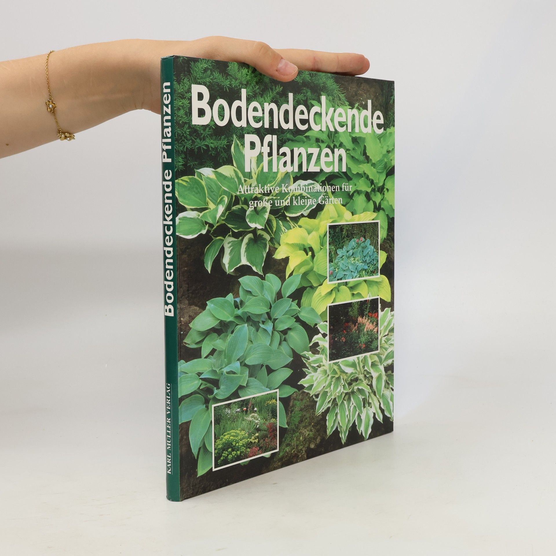 Mineke Kurpershoek Bodendeckende Pflanzen