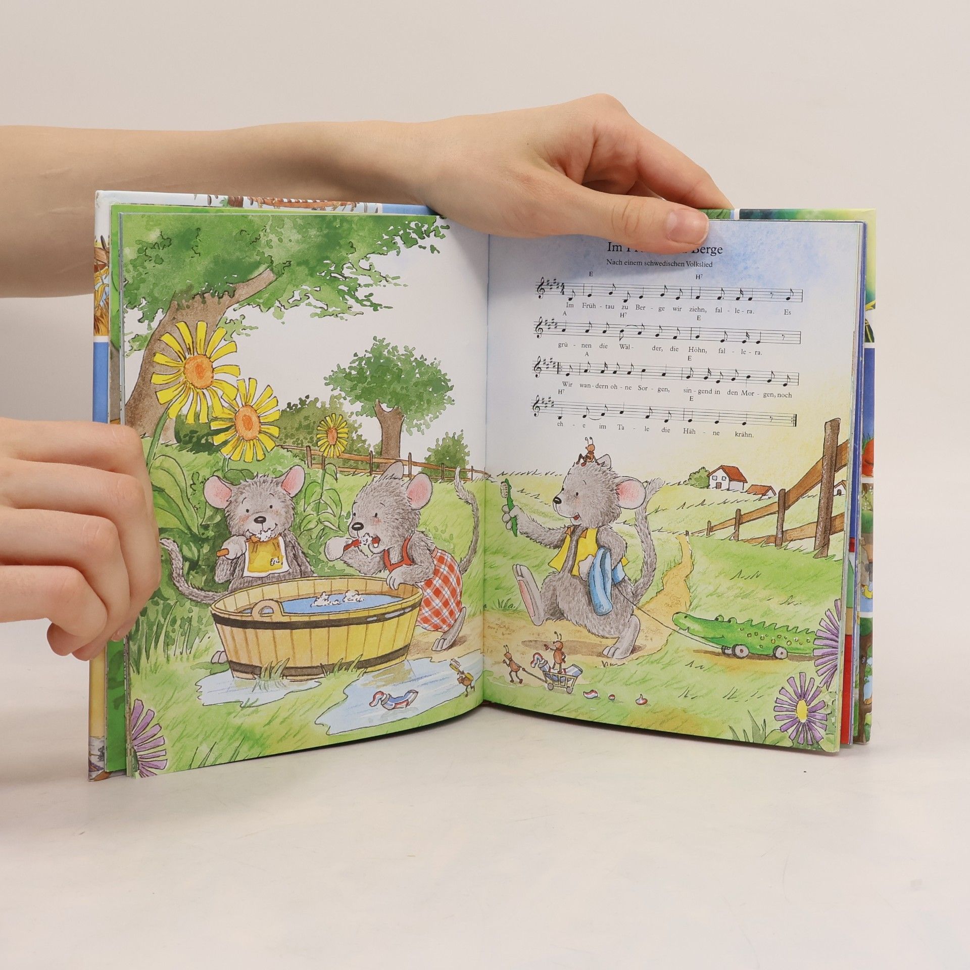 Autorenkollektiv Meine ersten Fingerspiele, Lieder und Reime