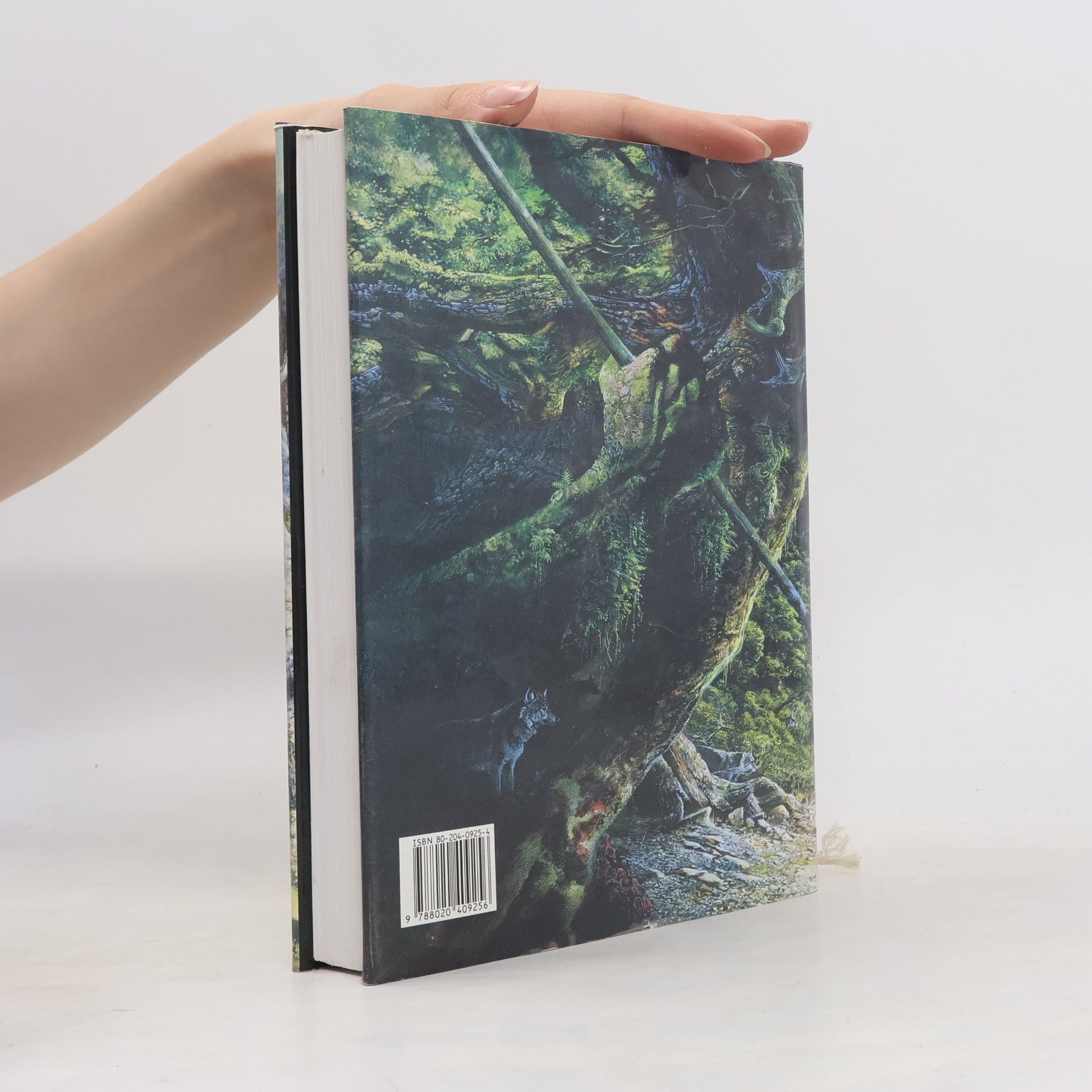 J. R. R. Tolkien Pán prstenů. Společenstvo Prstenu