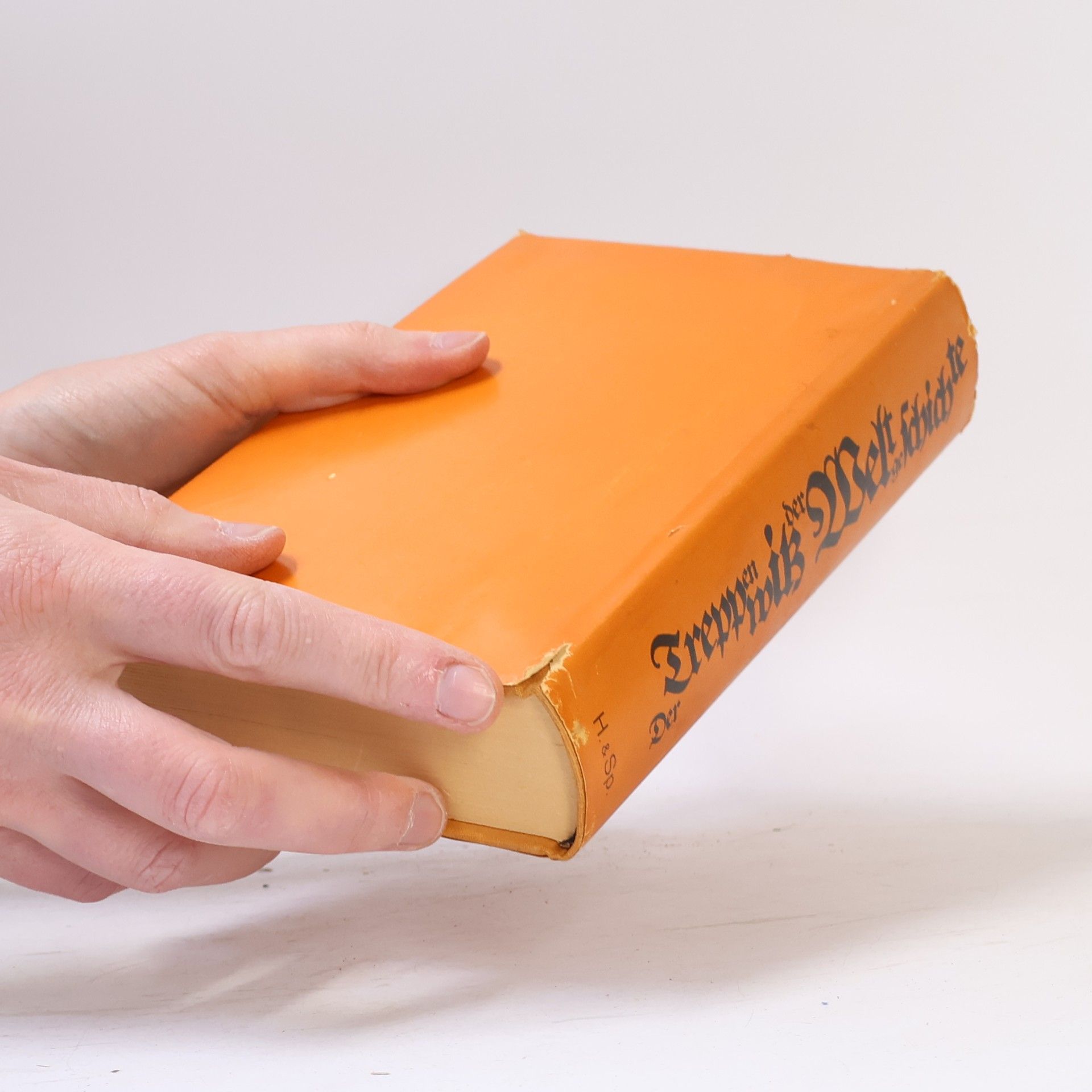 Autorenkollektiv Der Treppenwitz der Weltgeschichte