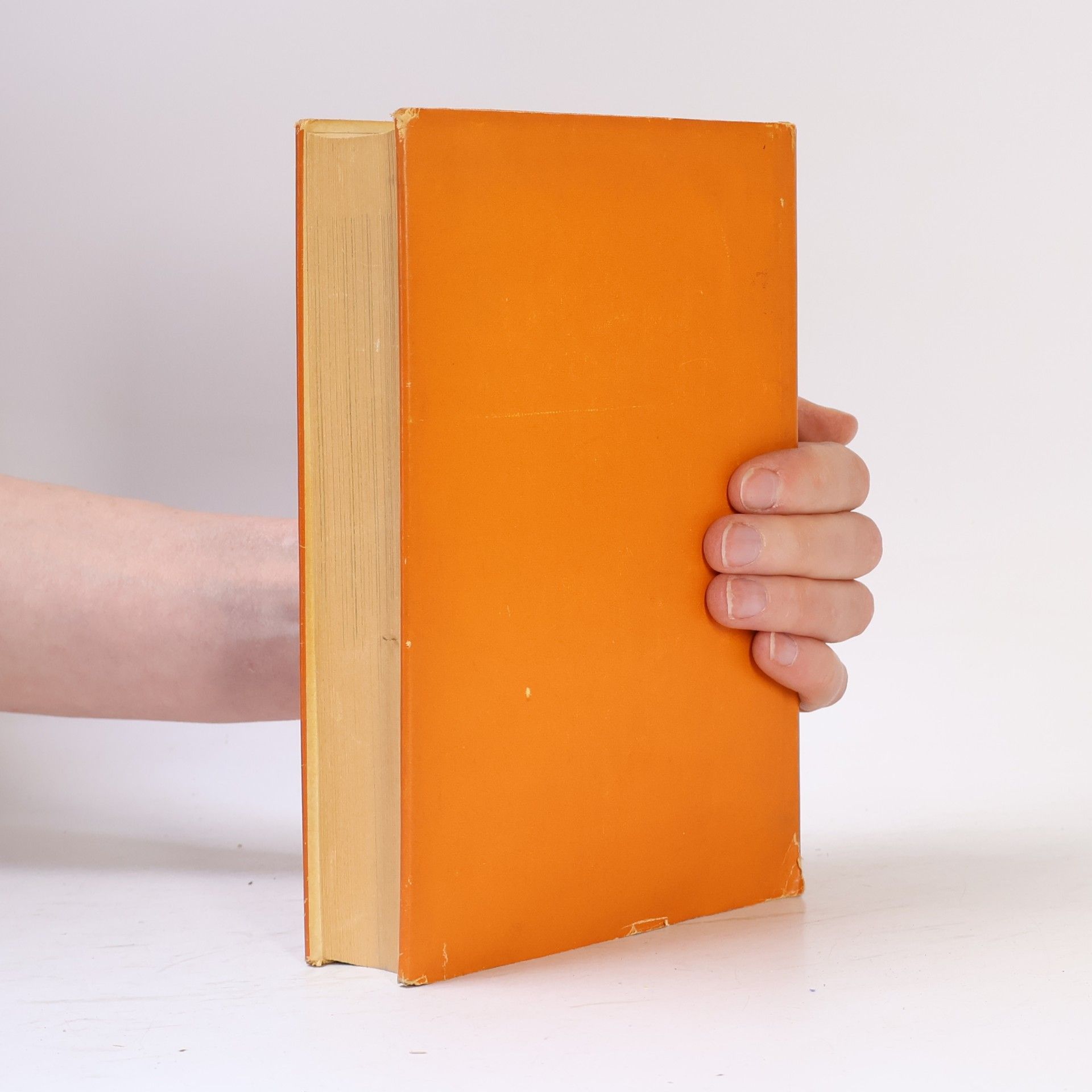 Autorenkollektiv Der Treppenwitz der Weltgeschichte