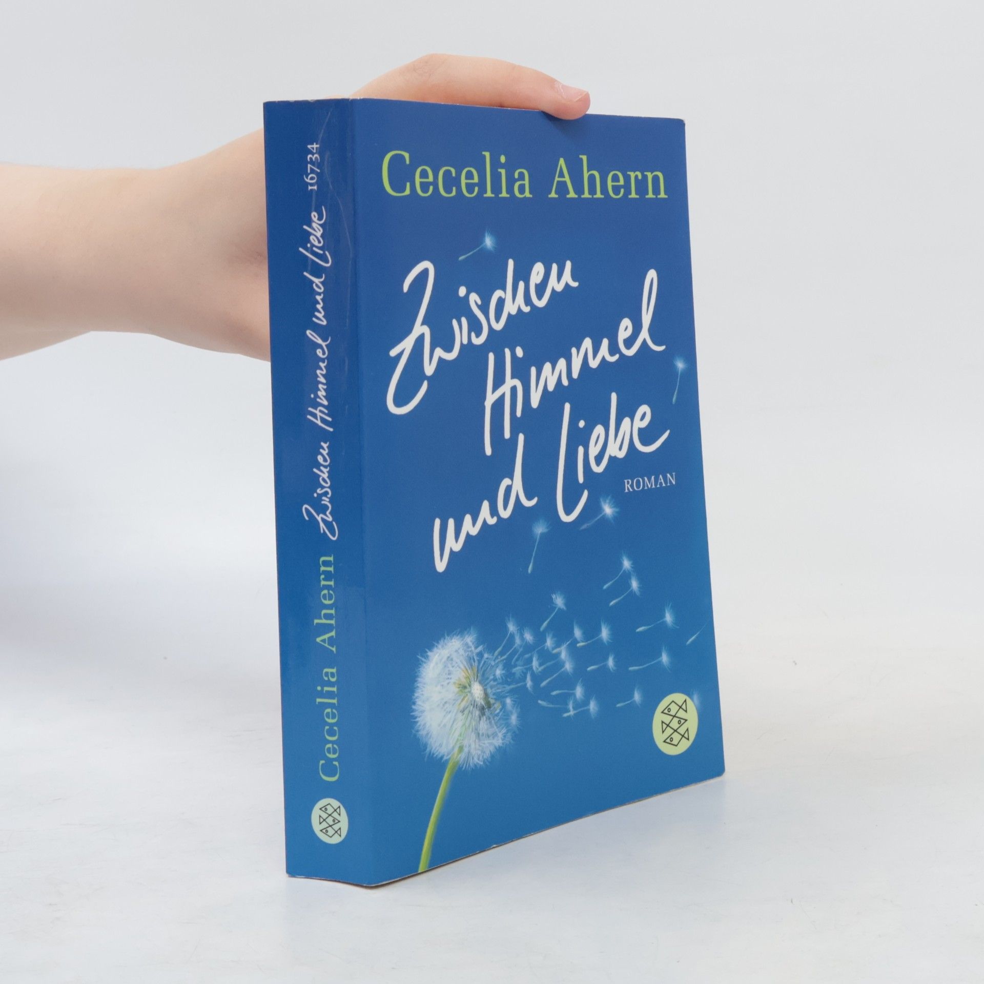 Cecelia Ahern Zwischen Himmel und Liebe