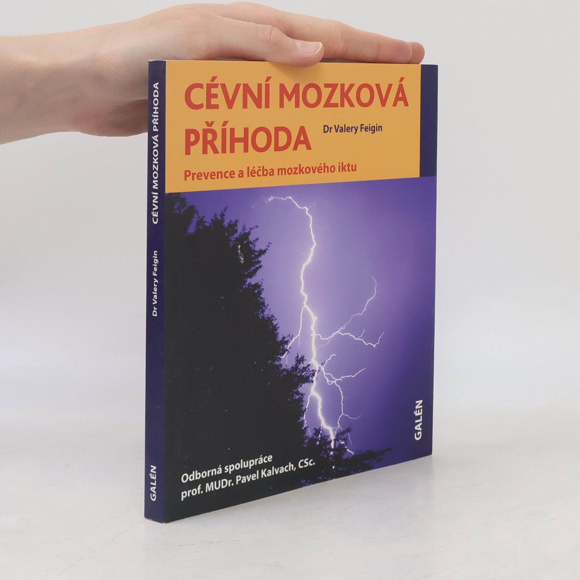Valery L. Feigin Cévní mozková příhoda - Prevence a léčba mozkového iktu