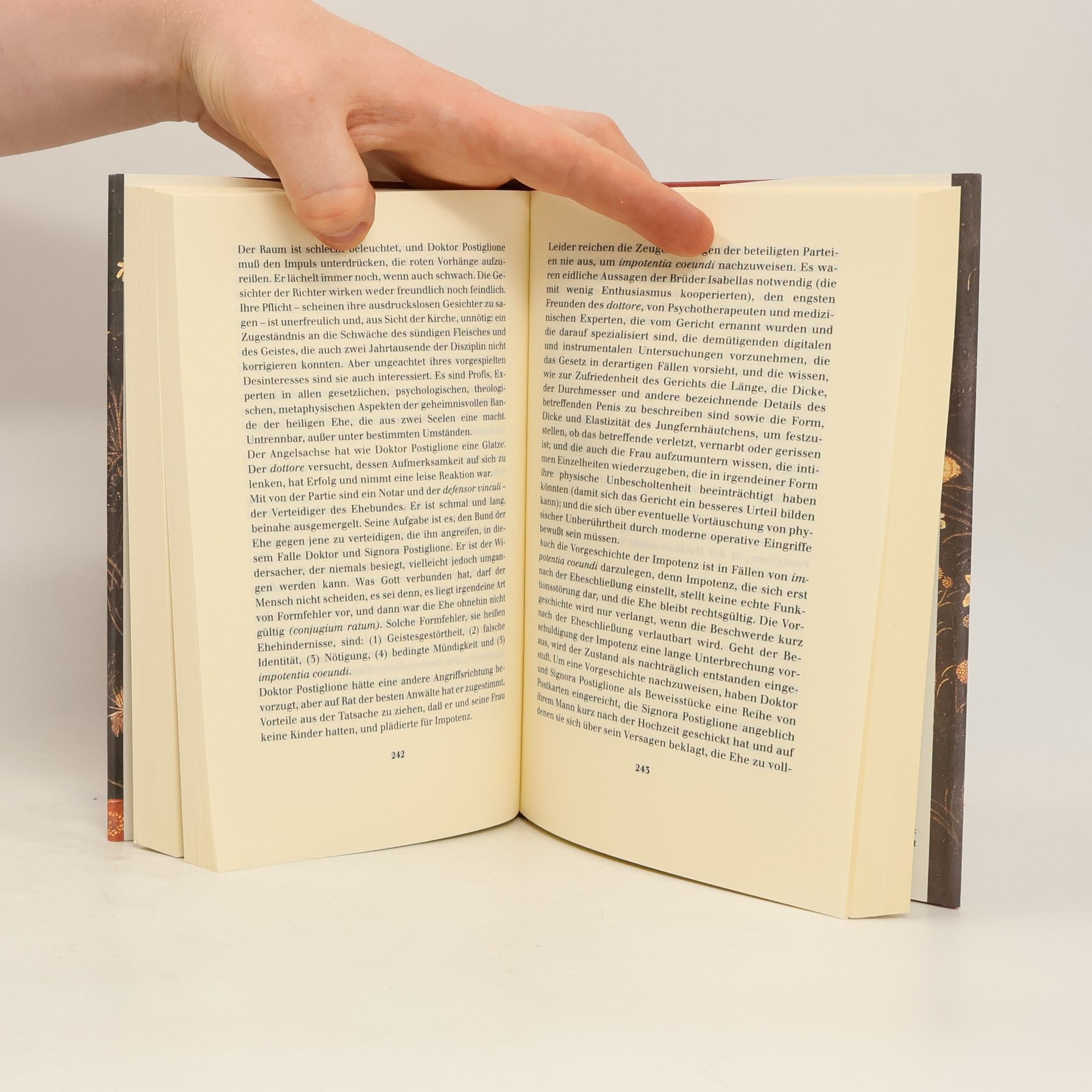 Robert Hellenga Das verbotene Buch der Lüste