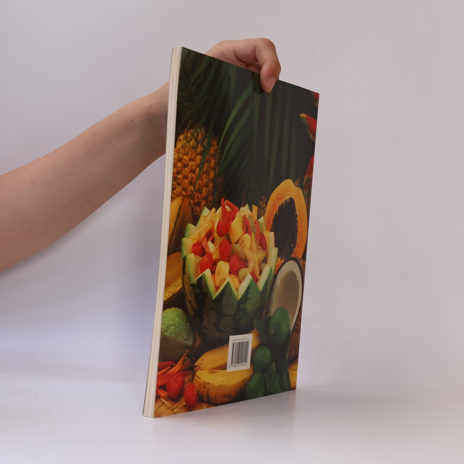 Diana Maychick Taste of the Tropics