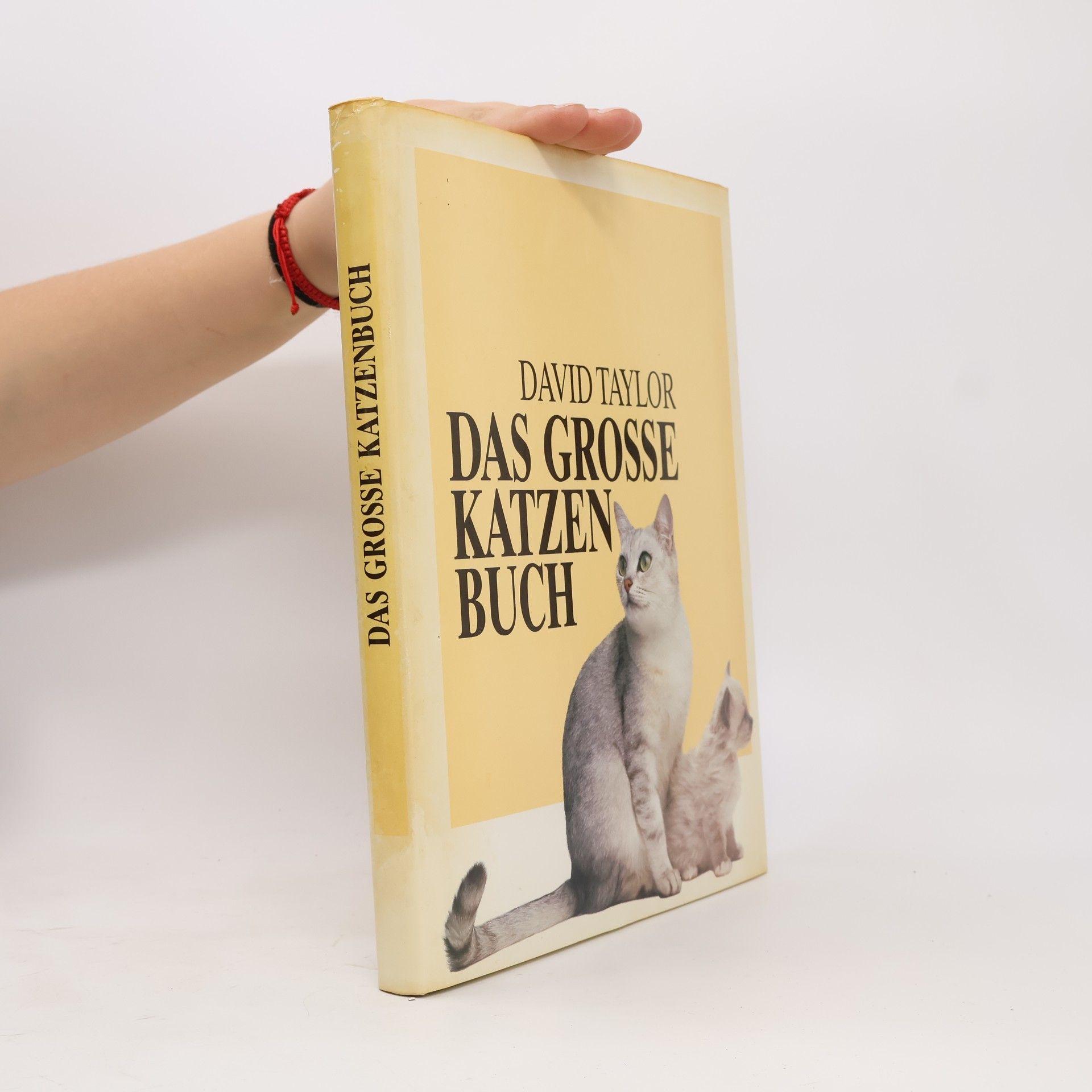 David Conrad Taylor Das Grosse Katzenbuch
