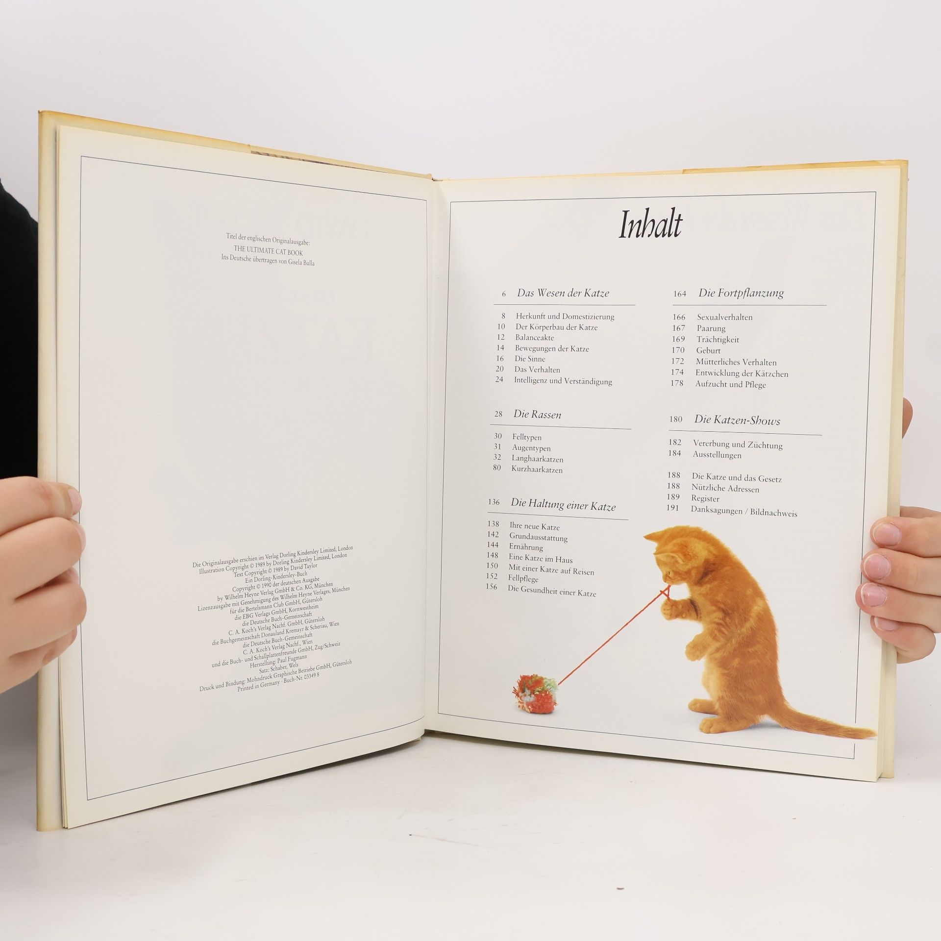 David Conrad Taylor Das Grosse Katzenbuch