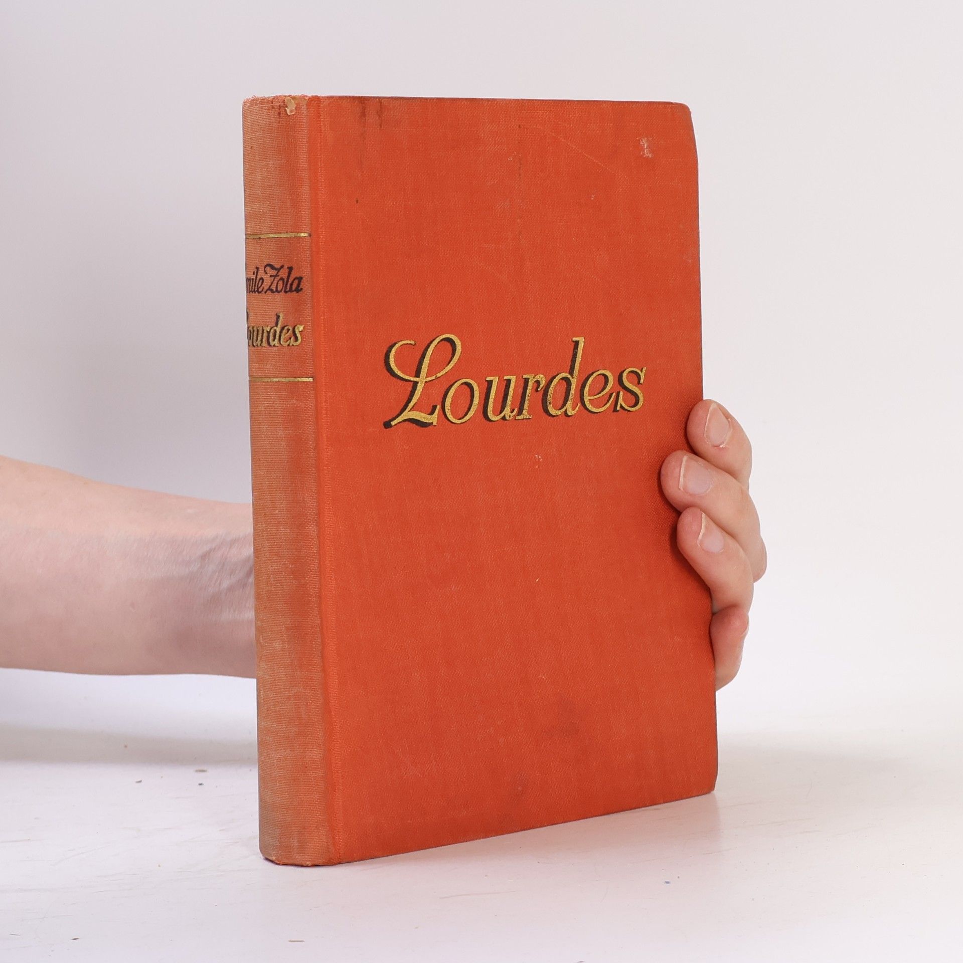 Émile Zola Lourdes