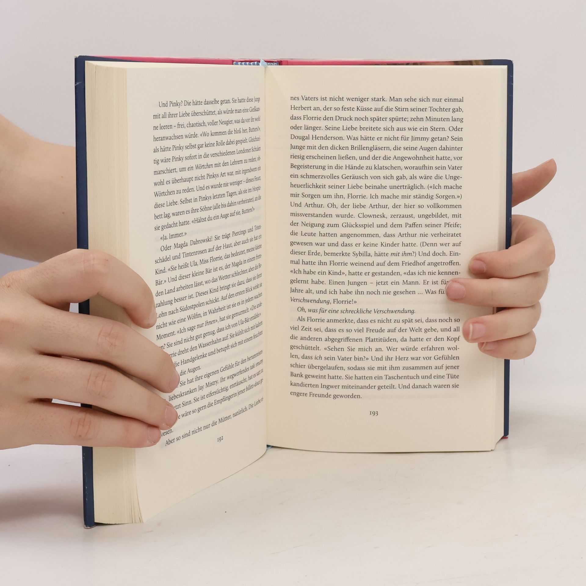 Susan Fletcher Florence Butterfield und die Nachtschwalbe