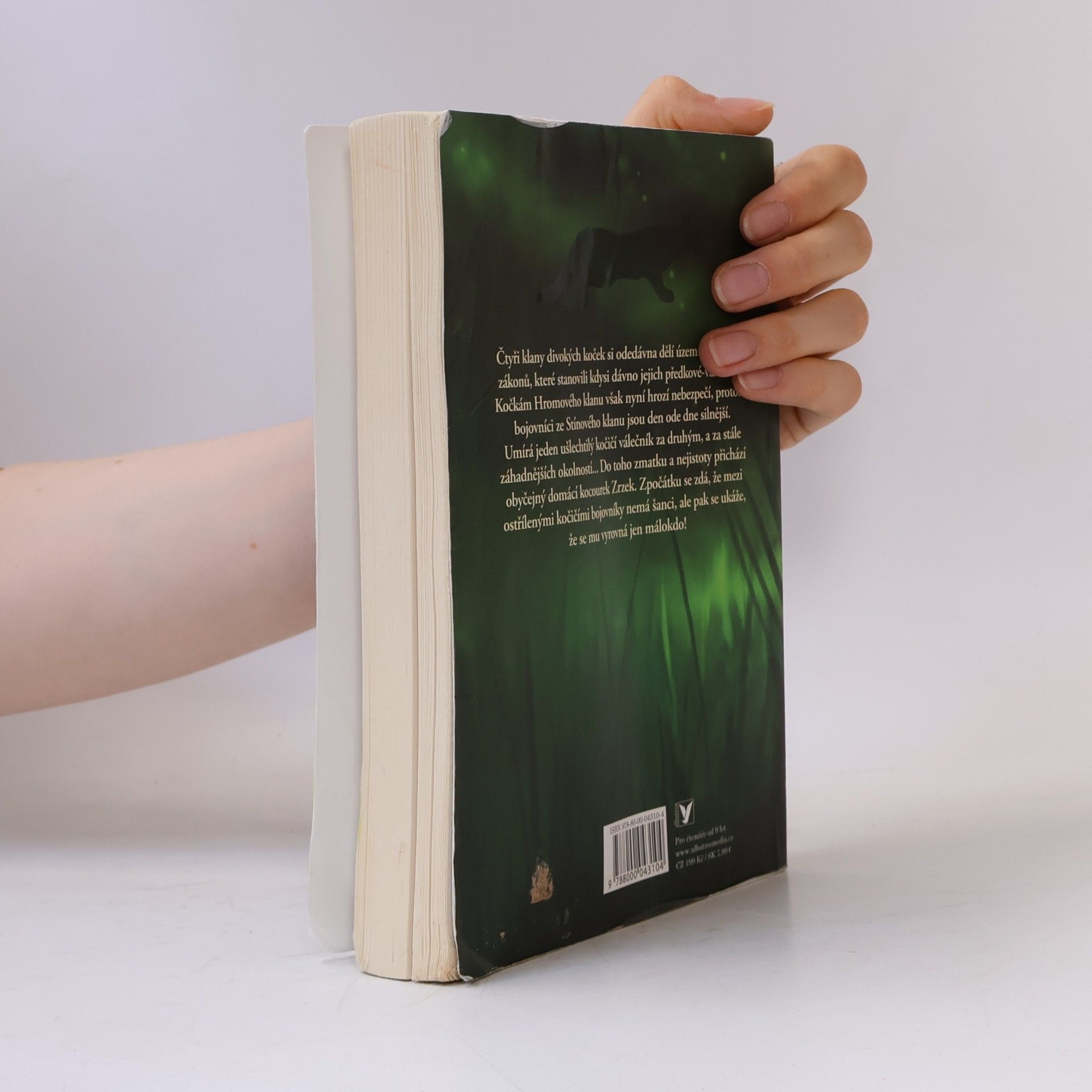 Erin Hunter Kočičí válečníci. Vzhůru do divočiny