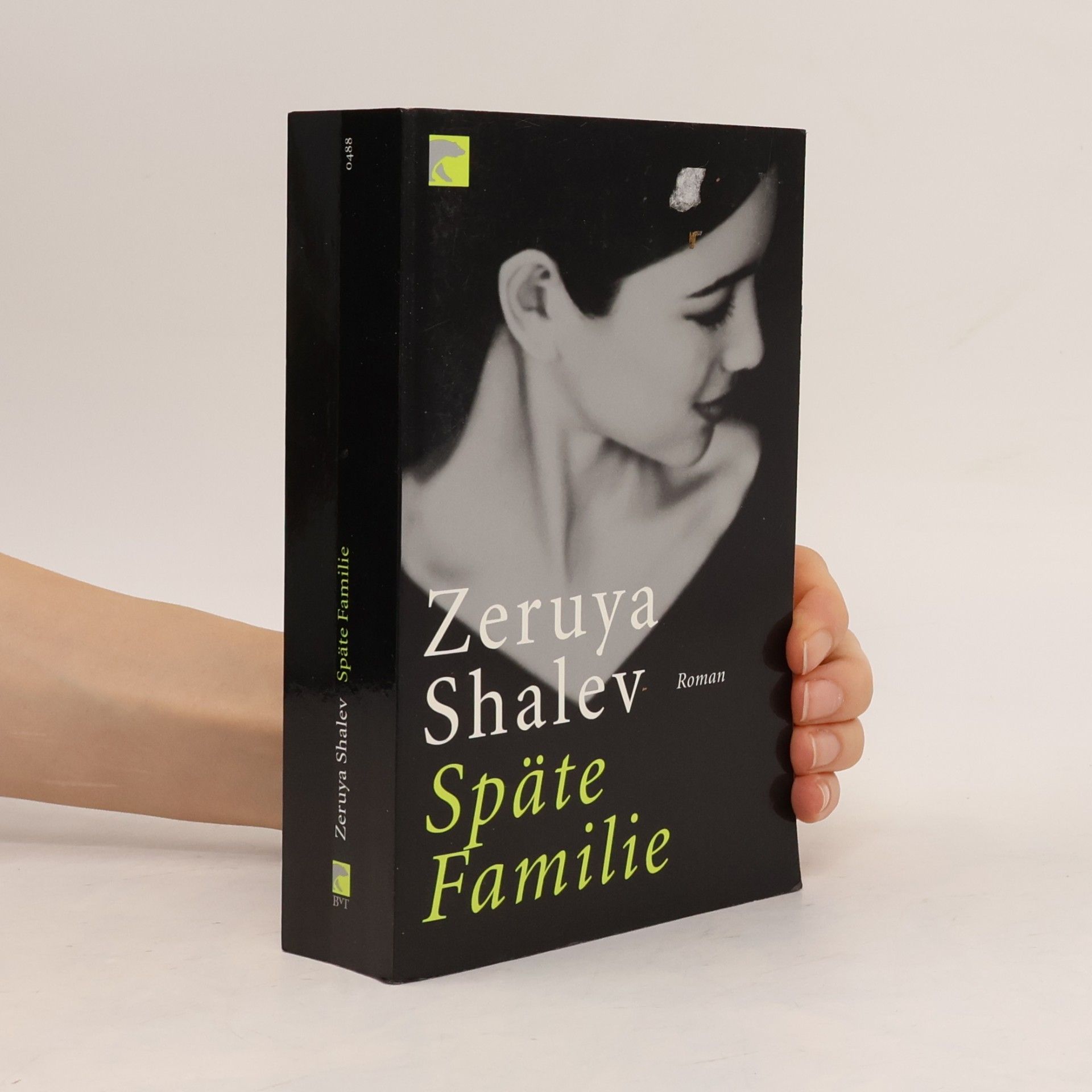 Zeruya Shalev Späte Familie