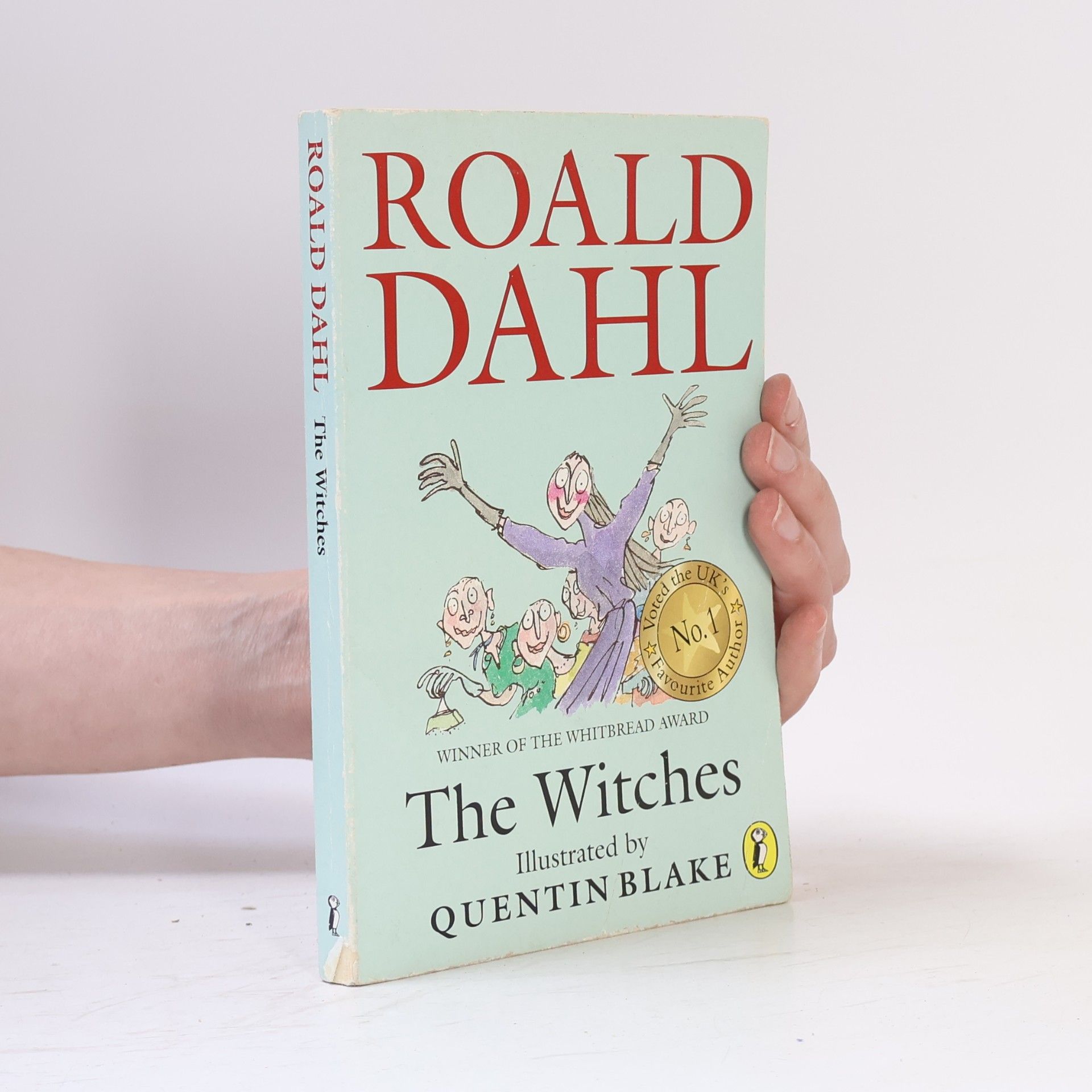 Roald Dahl The Witches