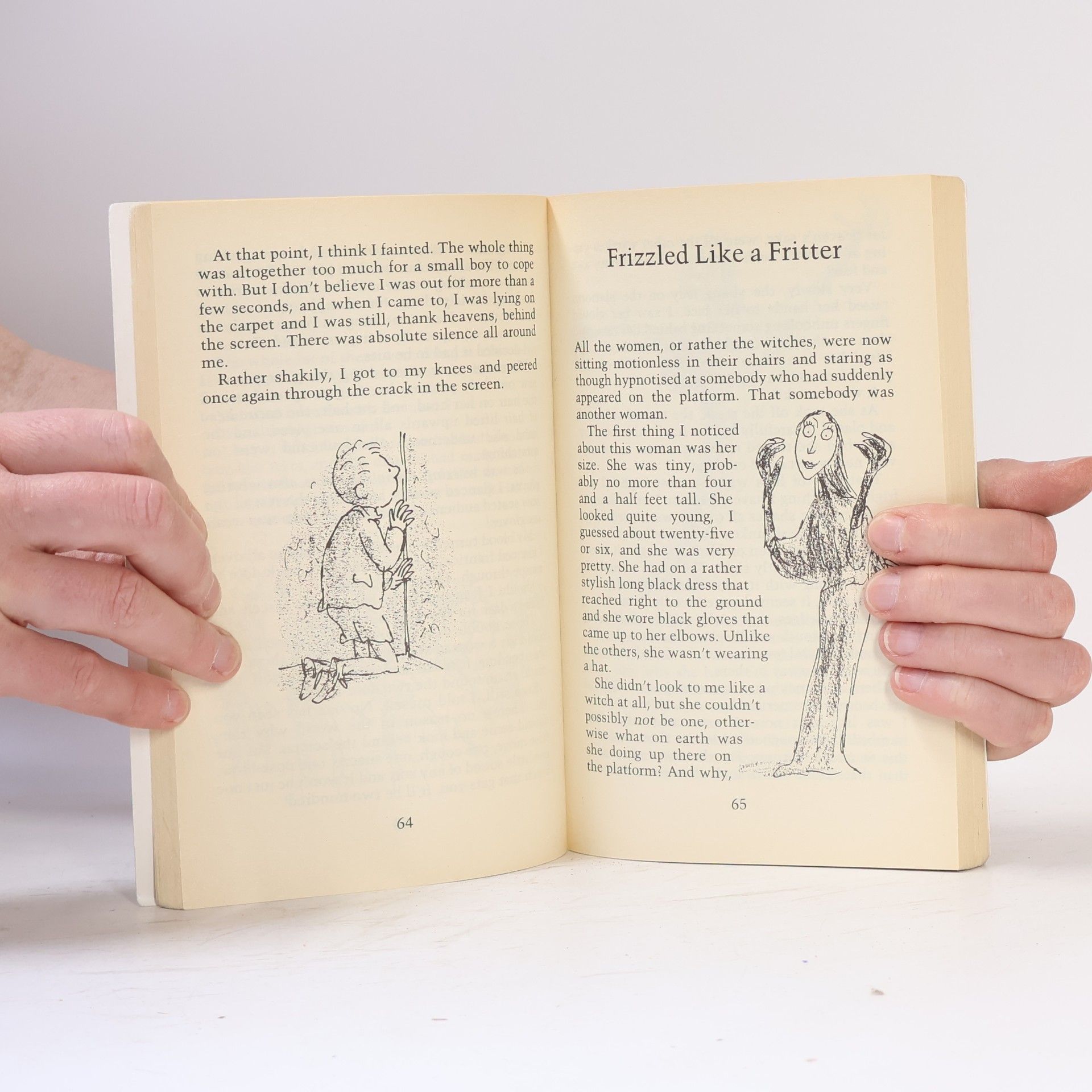 Roald Dahl The Witches
