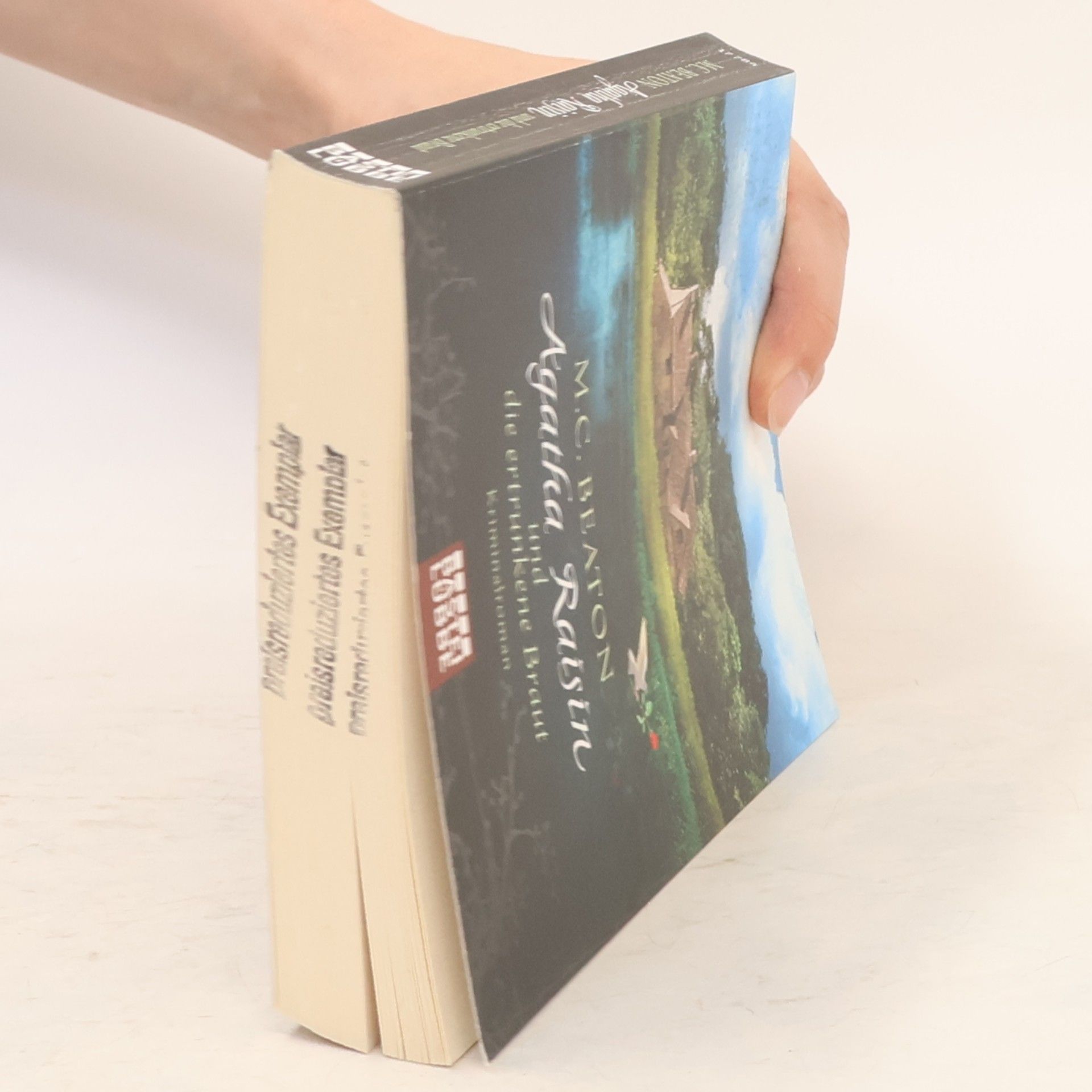 Marion Chesney Agatha Raisin und die ertrunkene Braut