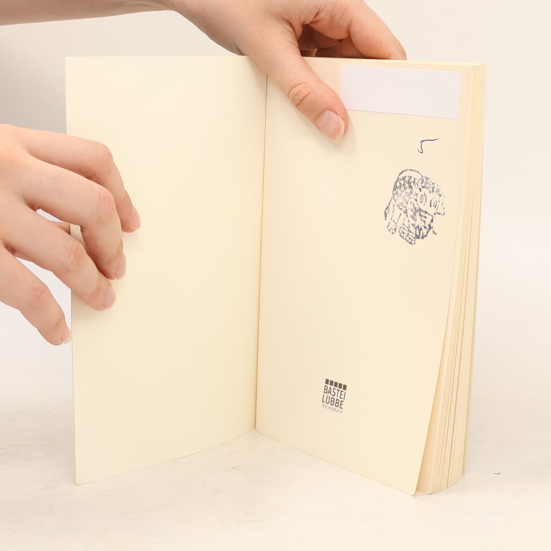 M. C. Beaton Agatha Raisin und der tote Ehemann