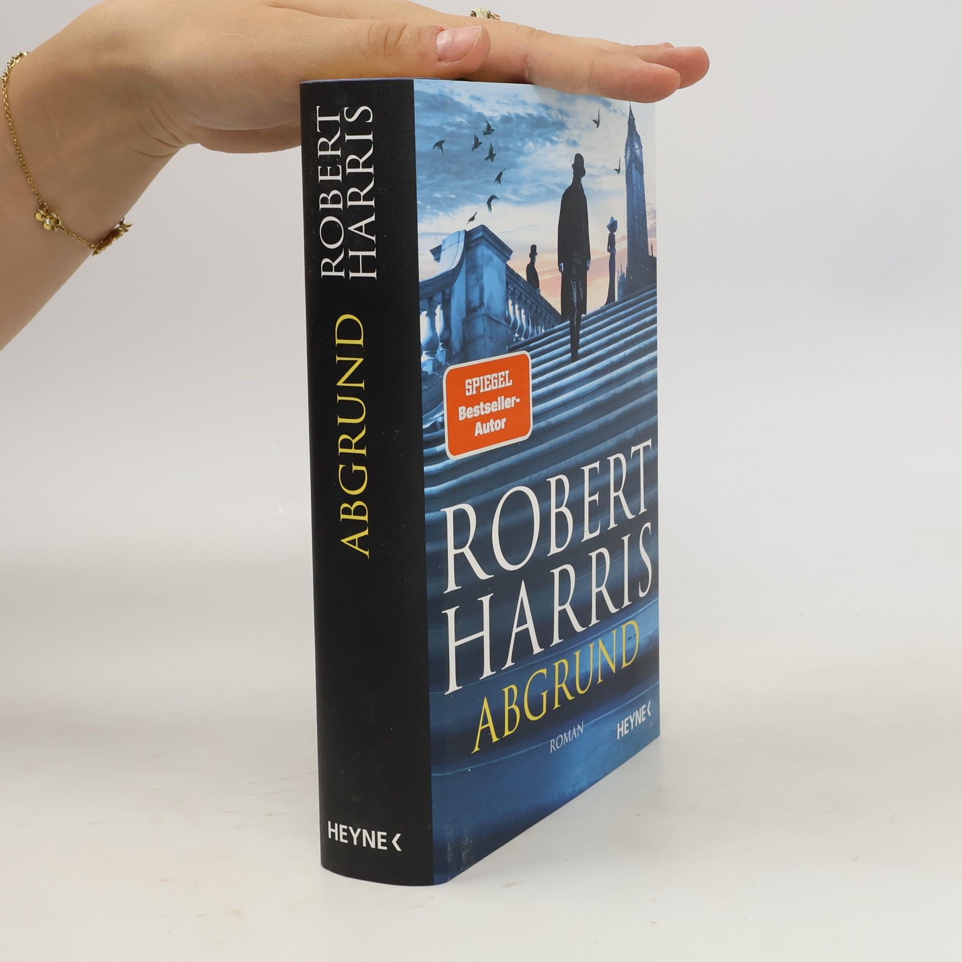 Robert Harris Abgrund