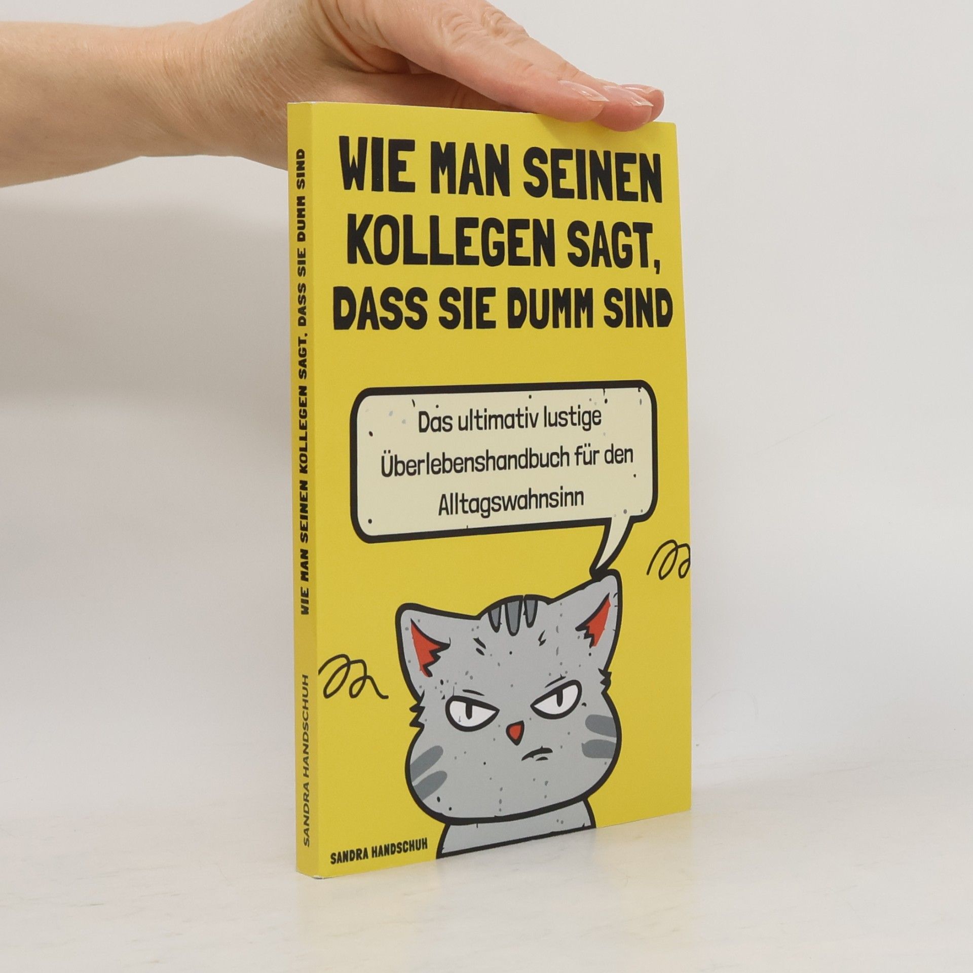 Sandra Handschuh Wie man seinen Kollegen sagt, dass sie dumm sind. Das ultimativ lustige Überlebenshandbuch für den Alltagswahnsinn