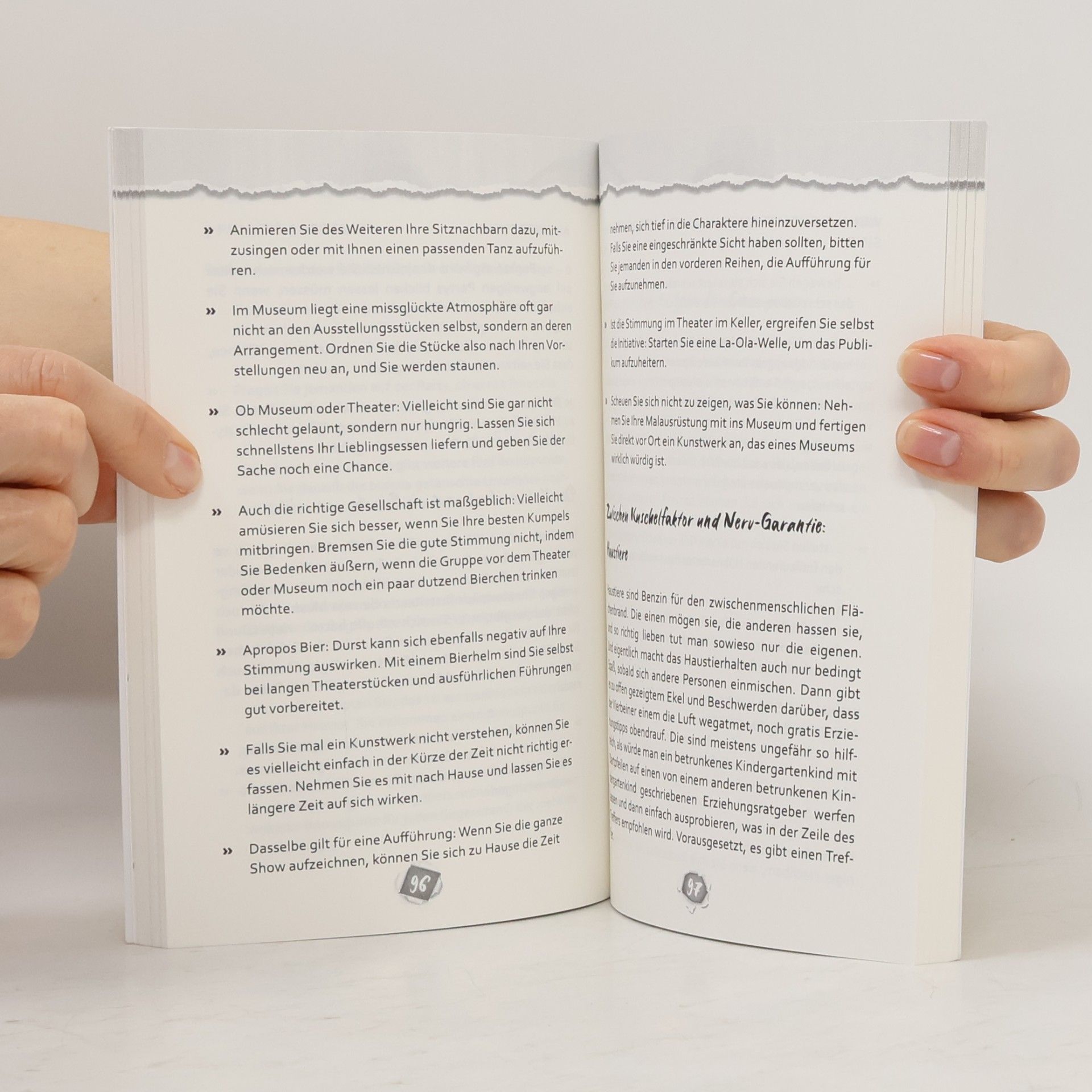 Sandra Handschuh Wie man seinen Kollegen sagt, dass sie dumm sind. Das ultimativ lustige Überlebenshandbuch für den Alltagswahnsinn
