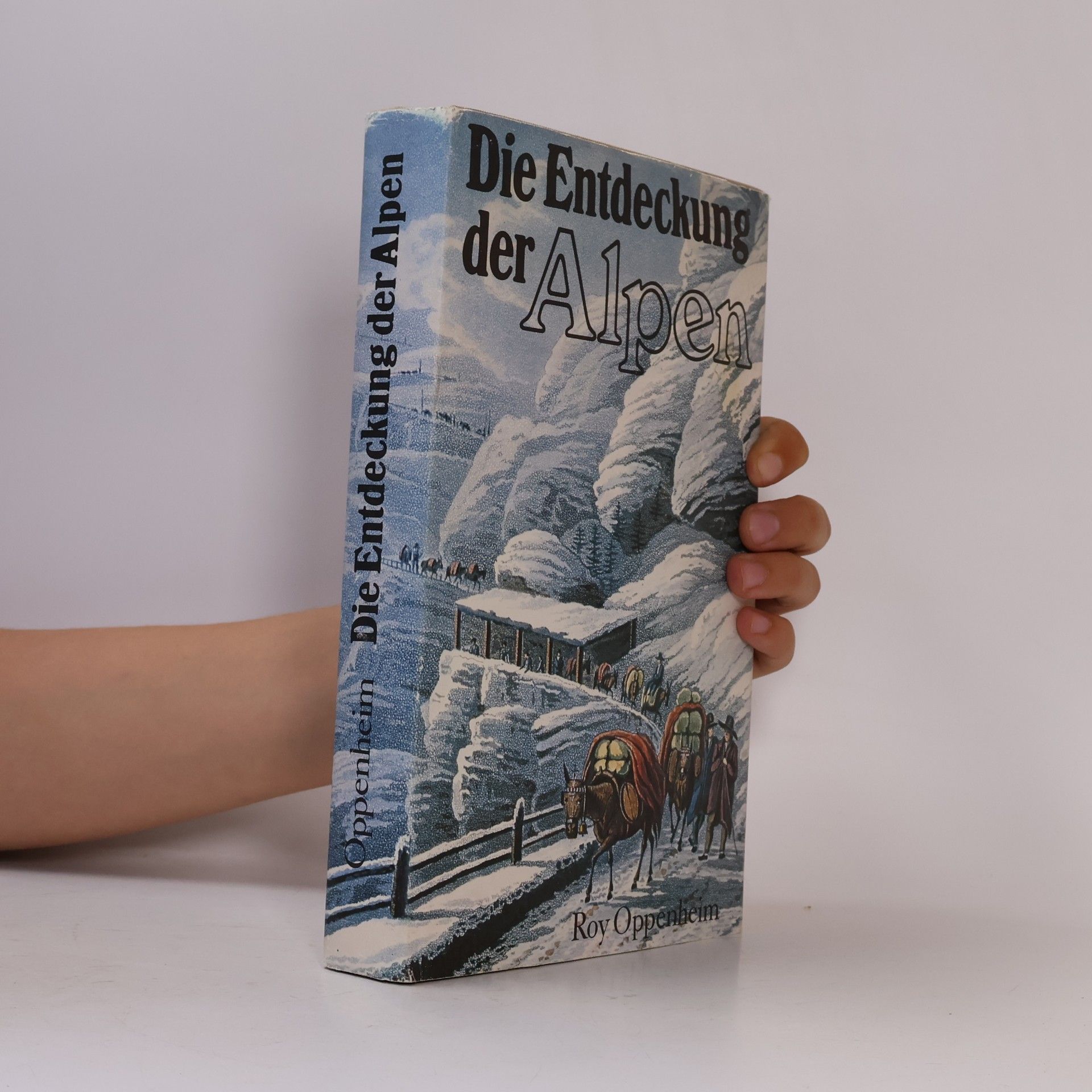 Roy Oppenheim Die Entdeckung der Alpen