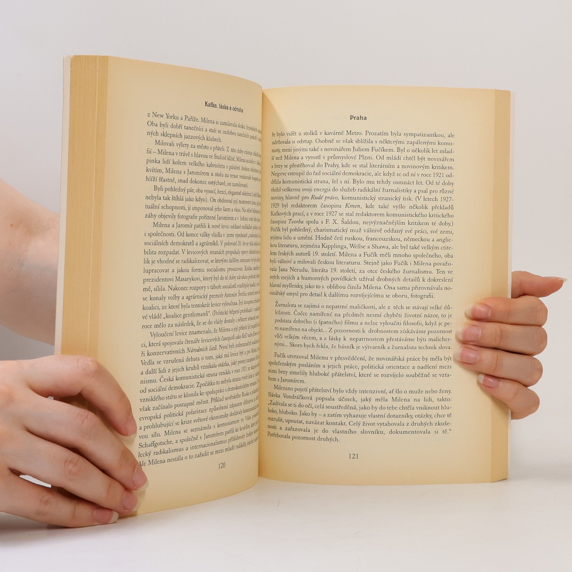 Mary Hockaday Kafka, láska a odvaha. Život Mileny Jesenské