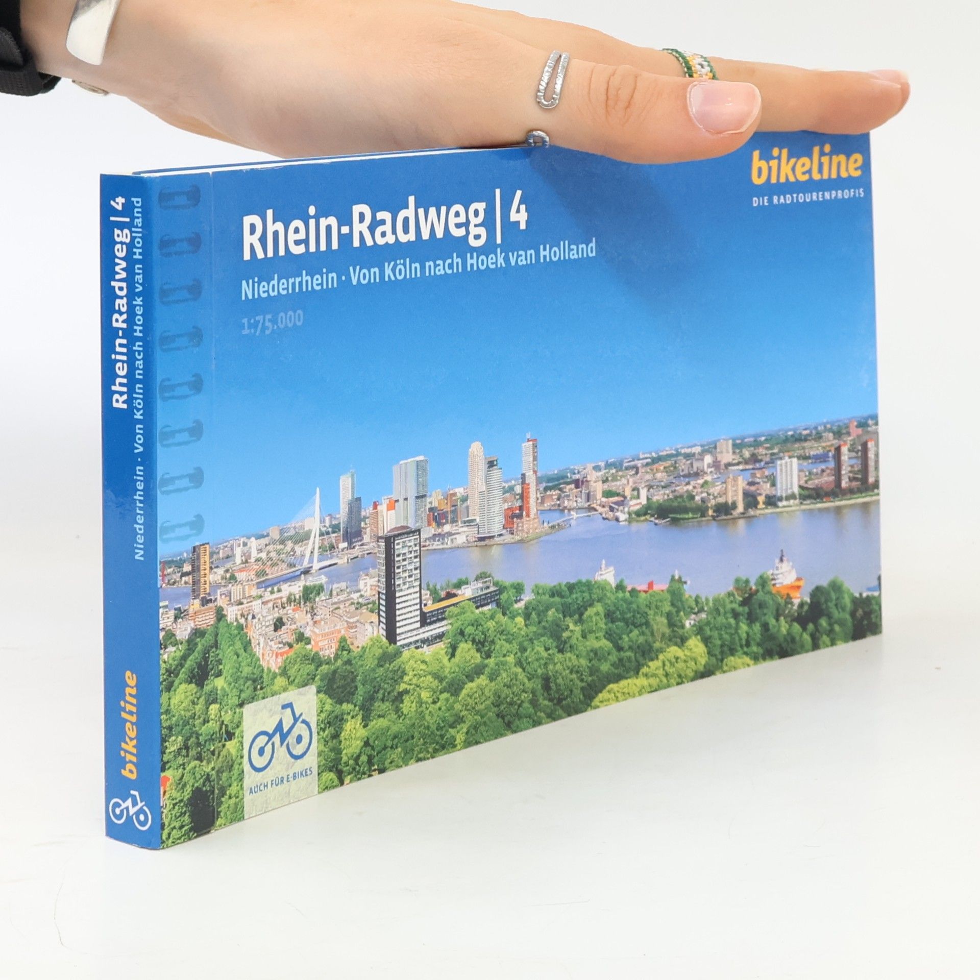 Rhein-Radweg/Rhein-Radweg Teil 4