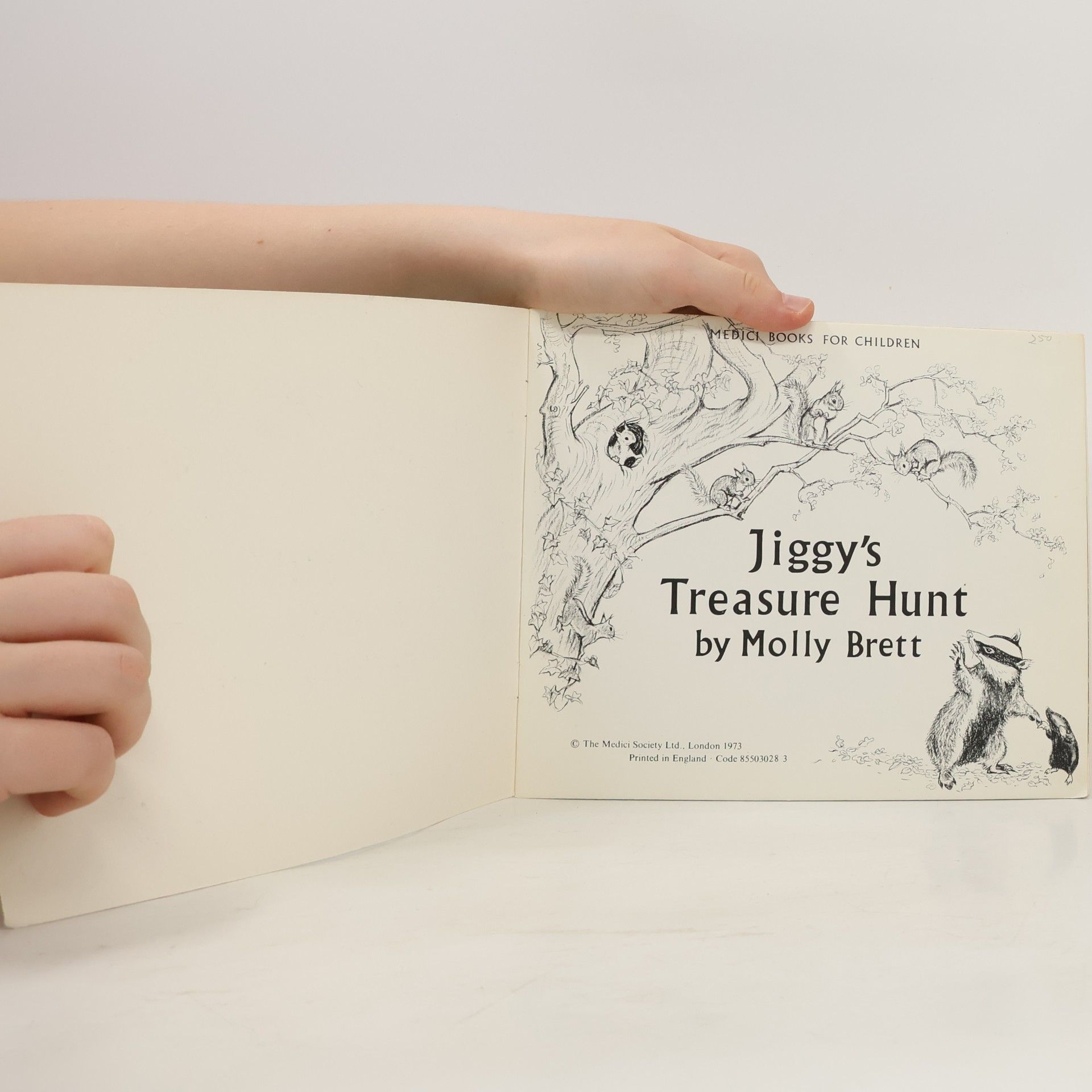 Molly Brett Jiggy's Treasure Hunt
