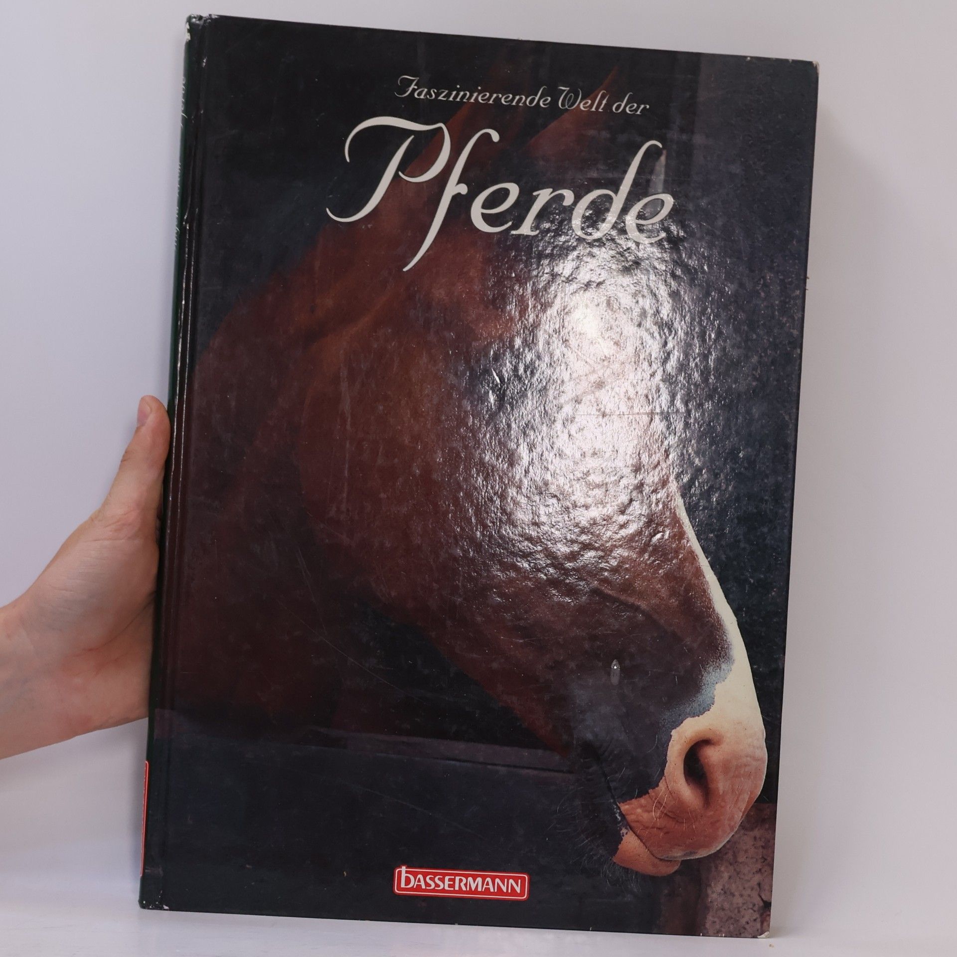 Faszinierende Welt der Pferde