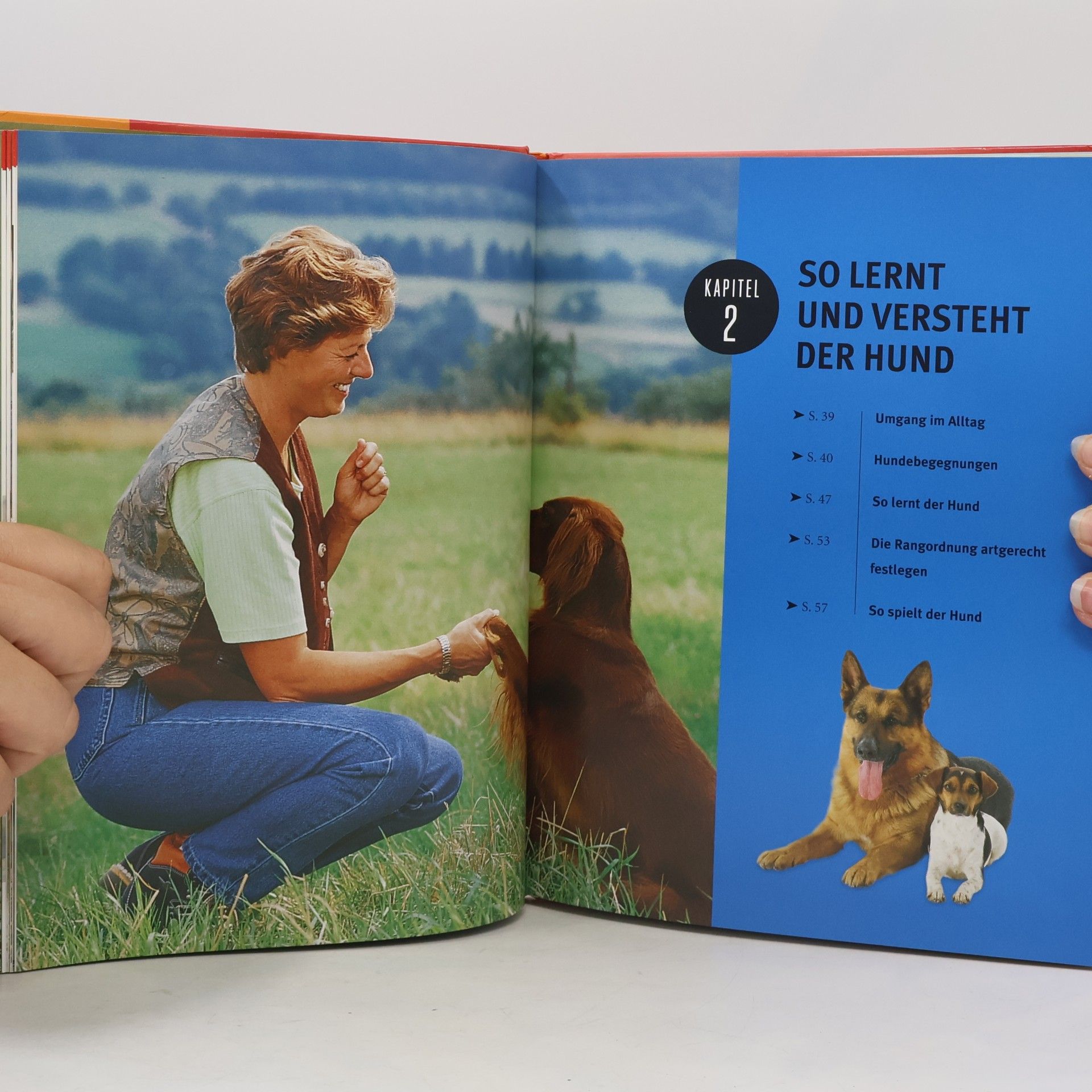 Katharina Schleg Kofler Hundeschule für jeden Tag