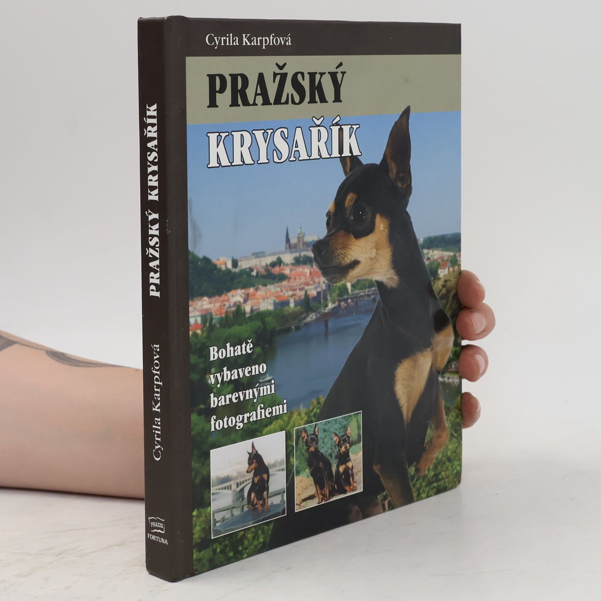 Cyrila Karpfová Pražský krysařík