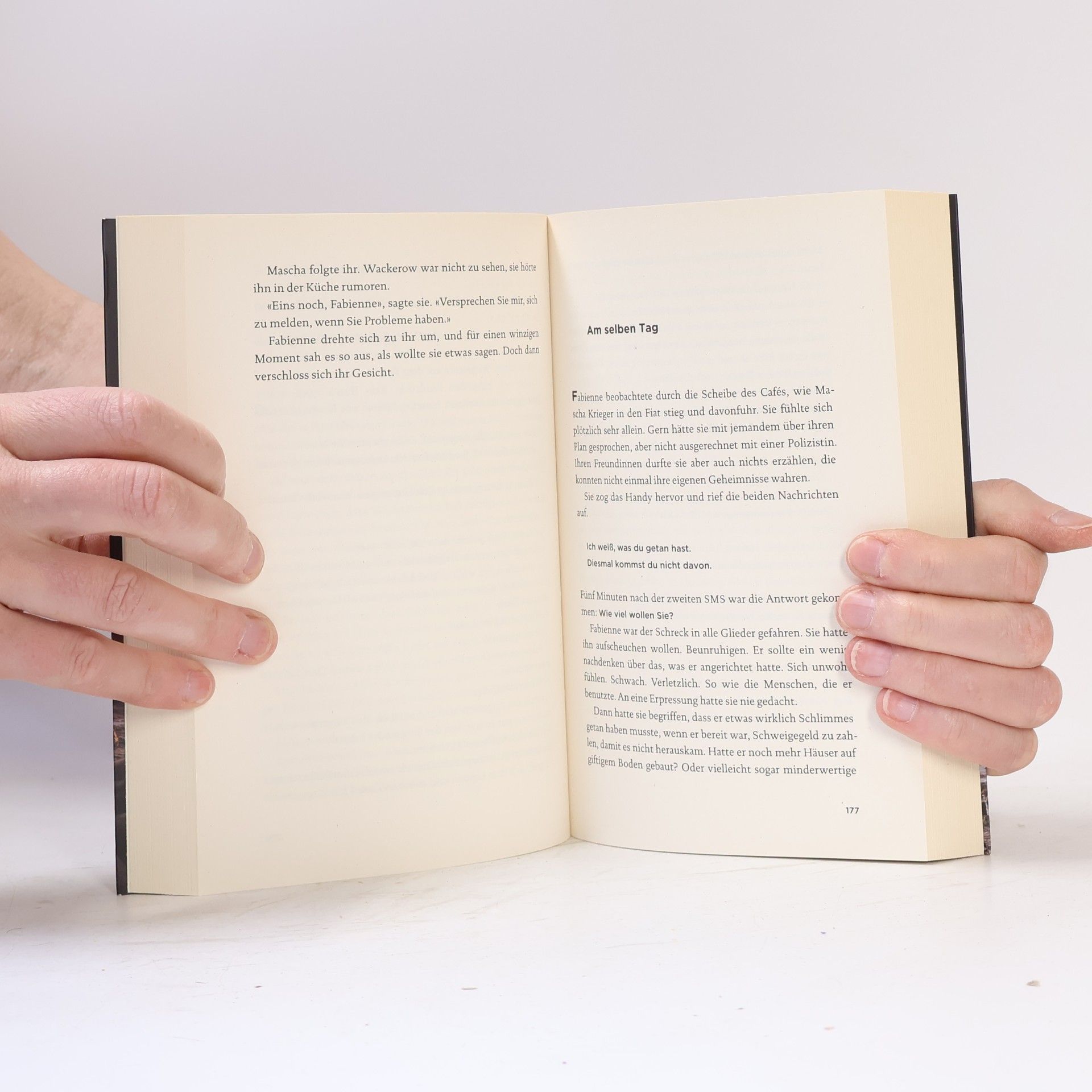 Karen Sanders Der Strand: Vergessen