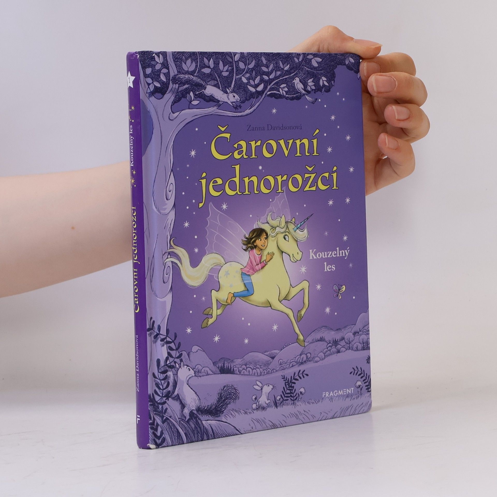 Zanna Davidson Kouzelný les