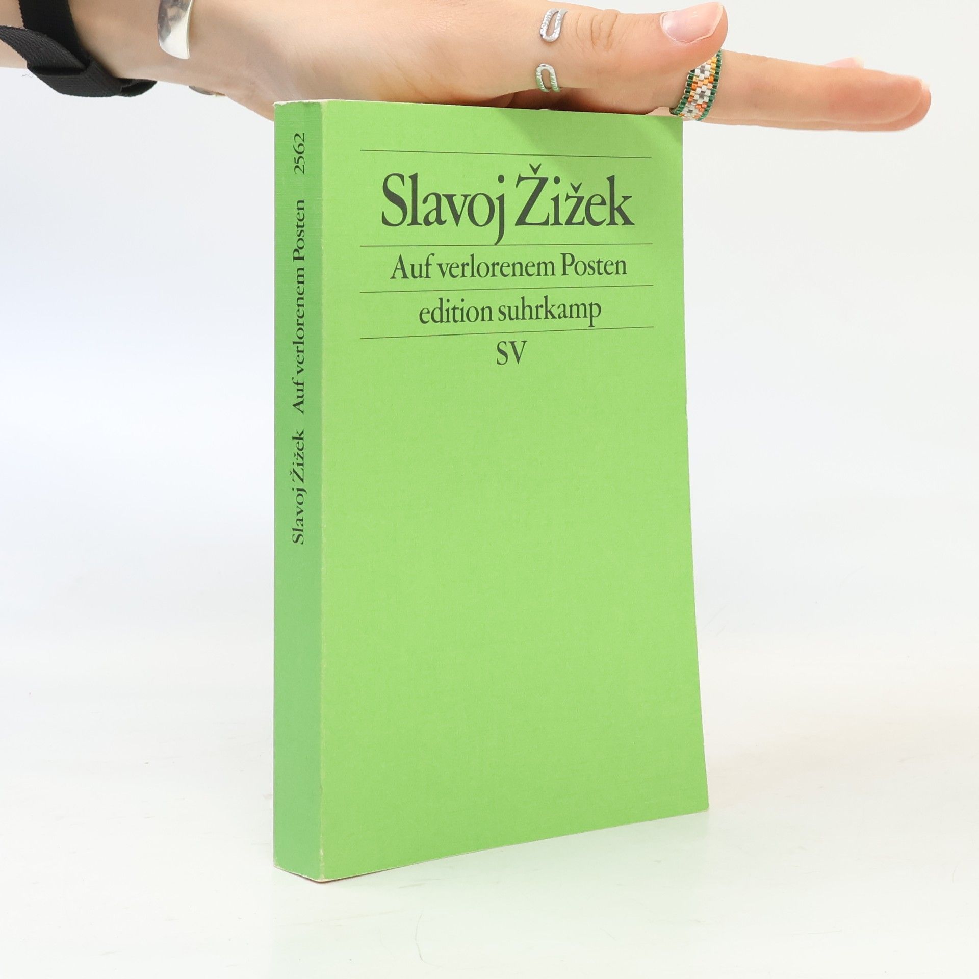 Slavoj Žižek Auf verlorenem Posten
