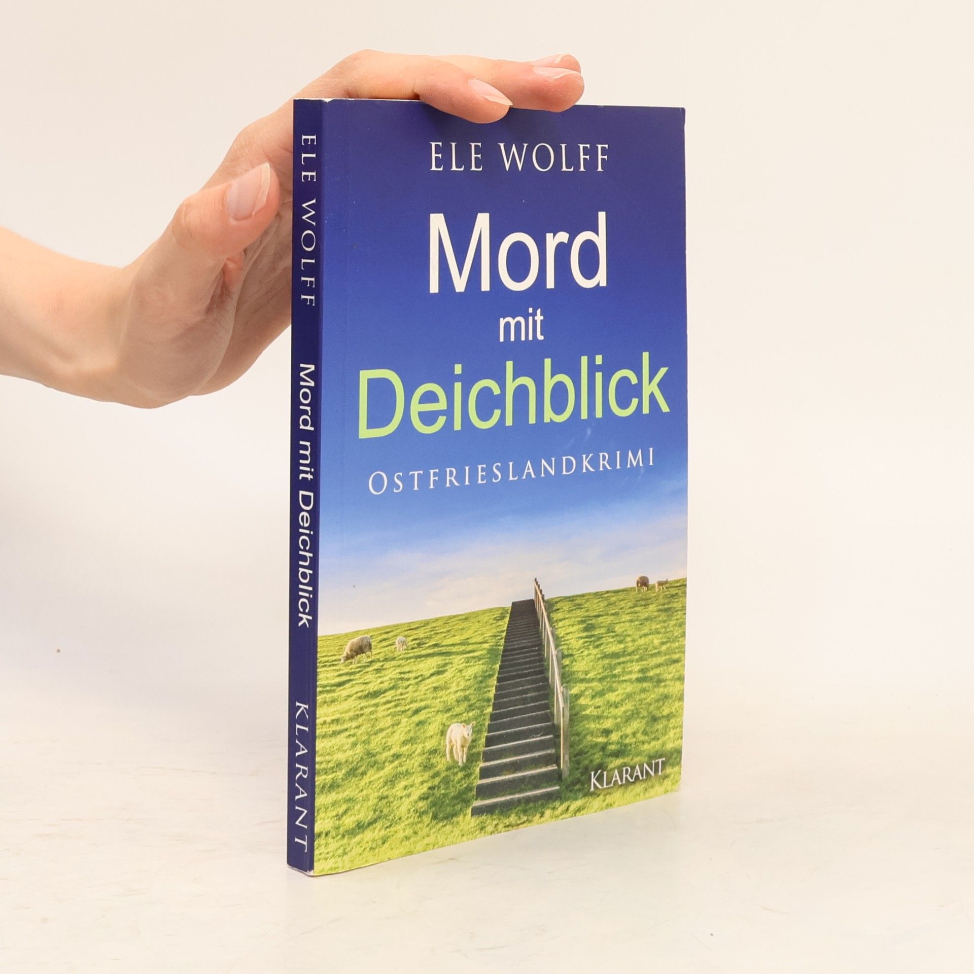 Ele Wolff Mord mit Deichblick